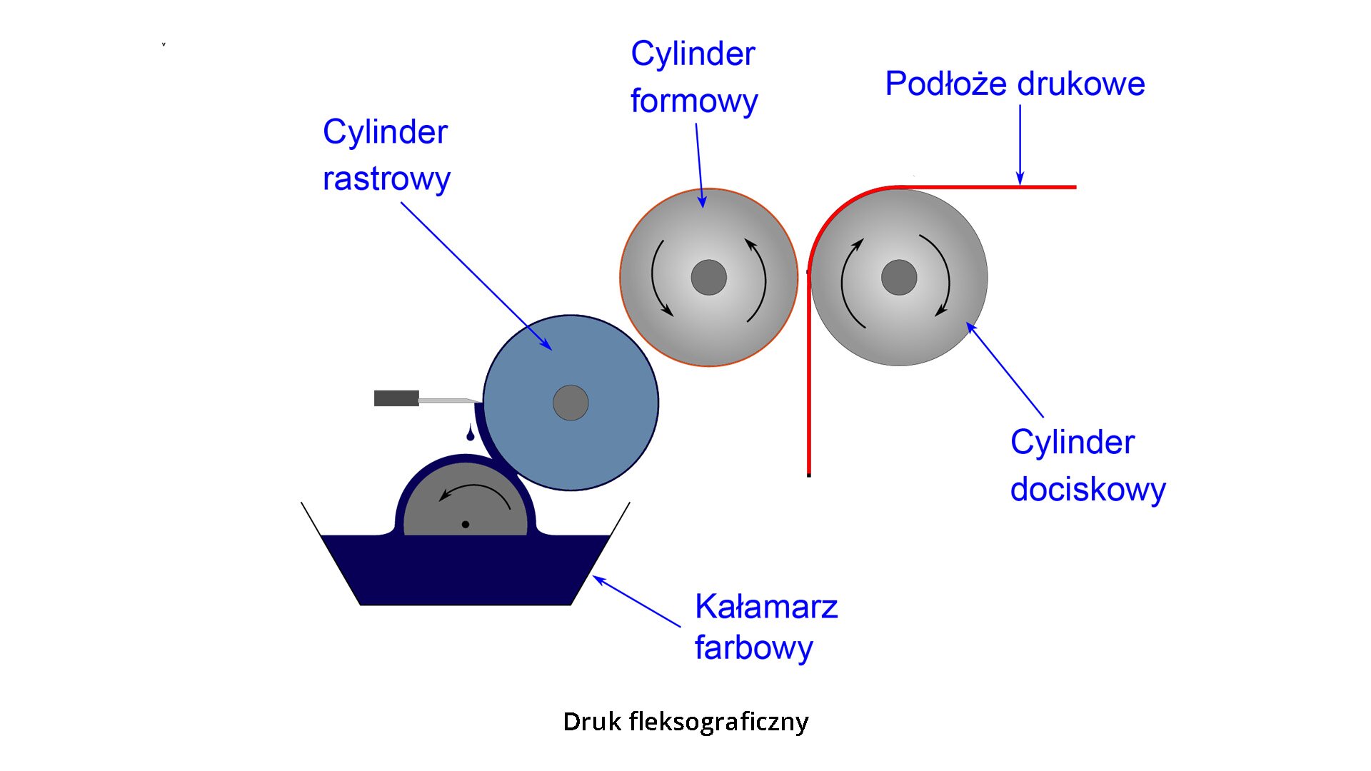 Grafika przedstawia poglądowo schemat procesu druku fleksograficznego (widok z boku), który opiera się na systemie cylindrów, przenoszących farbę z kałamarza farbowego, na cylinder rastrowy, następnie na cylinder formowy, który nanosi farbę na podłoże drukowe (zaznaczone czerwoną linią) doprowadzane cylindrem dociskowym.