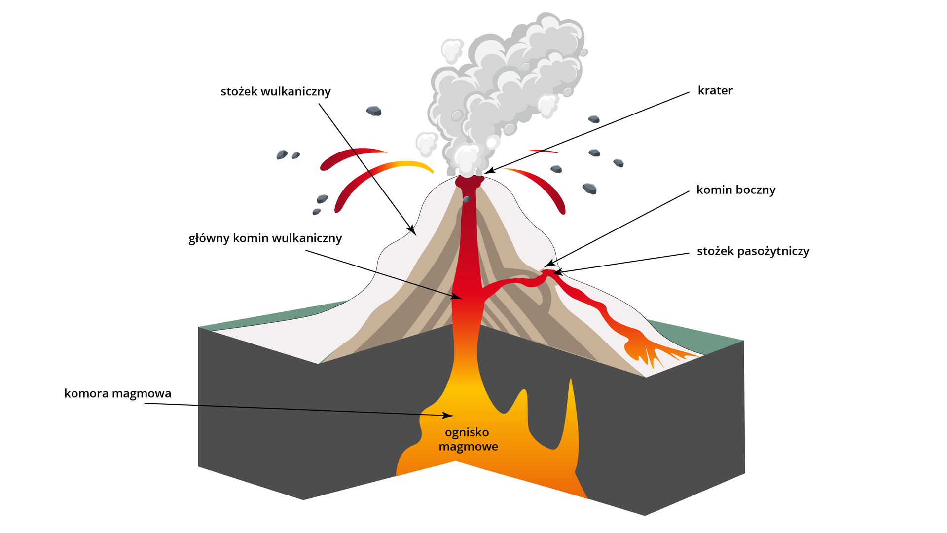 Grafika przedstawia budowę wulkanu. W głębi ziemi znajduje się ognisko magmowe w komorze magmowej. Od niej odchodzi w górę główny komin wulkaniczny. Od niego w bok może odchodzić komin boczny. Na zboczu wulkanu powstaje wtedy stożek pasożytniczy. Główny komin wulkaniczny kończy się kraterem. Zewnętrzna część wulkanu to stożek wulkaniczny.