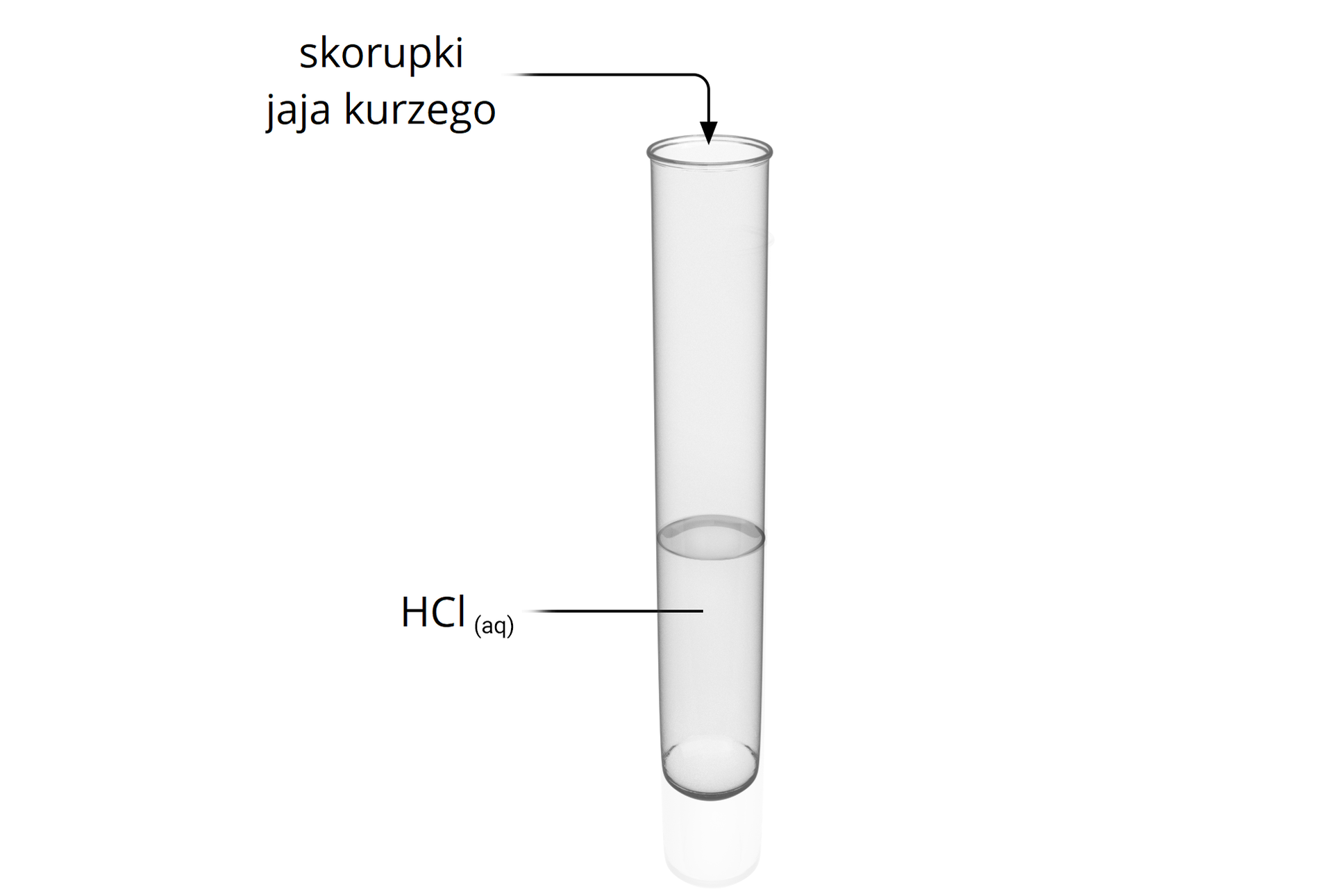 Ilustracja przedstawia probówkę z wodnym roztworem kwasu chlorowodorowego do którego dodawane są skorupki jaja kurzego.