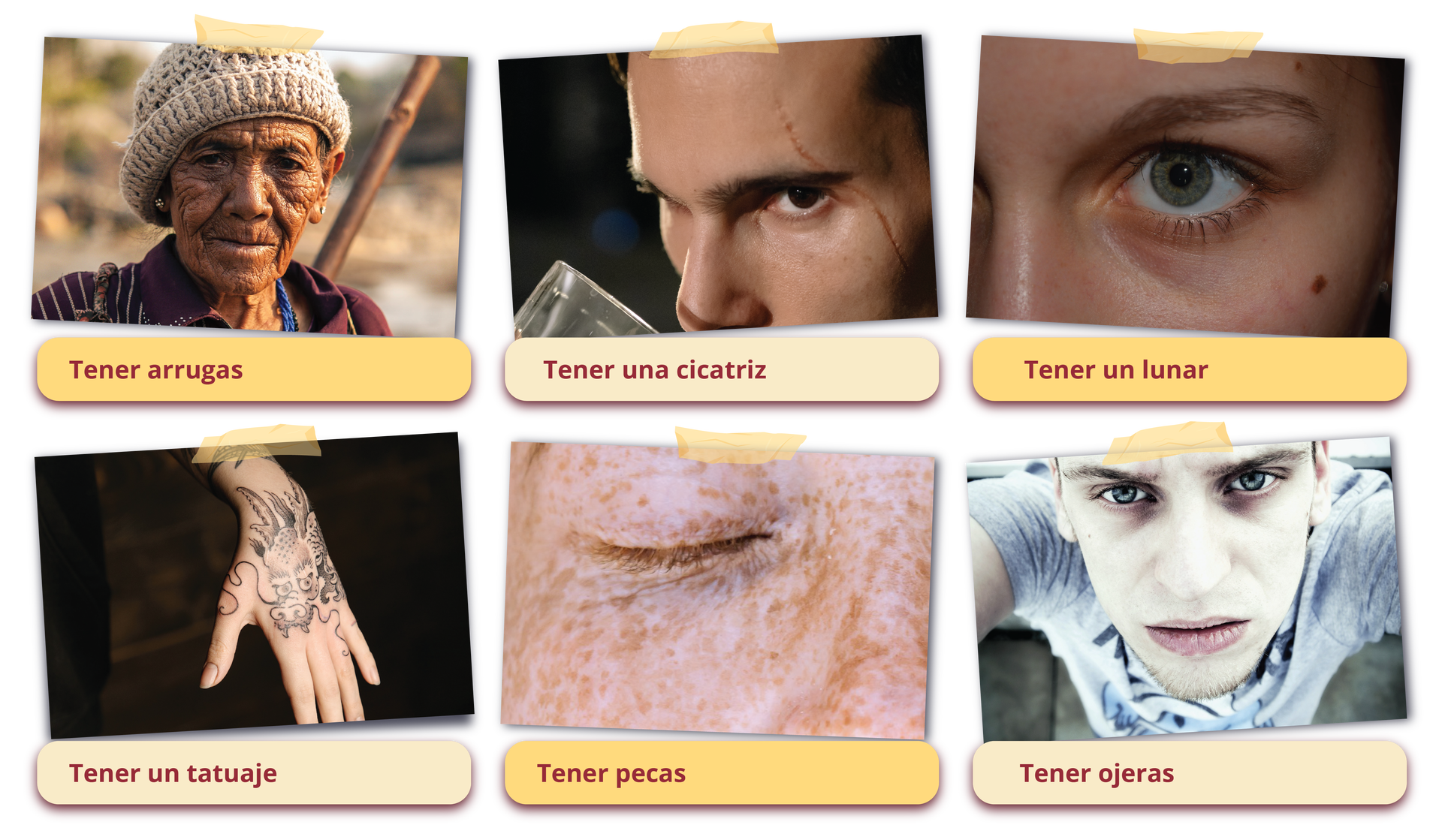 Grafika przedstawia kolaż sześciu zdjęć z podpisami. Na pierwszym zdjęciu widoczna jest starsza kobieta w czapce. Na twarzy ma wiele zmarszczek. Zdjęcie podpisane jest Tener arrugas. Drugie zdjęcie przedstawia męską twarz z widoczną blizną idącą od czoła nad lewym okiem, przy zewnętrznej krawędzi oka aż do środka policzka. Zdjęcie podpisane jest Tener una cicatriz. Na trzecim zdjęciu widoczna jest część kobiecej twarzy: lewe oko, brew, część nosa i policzka. Na policzku pod okiem znajduje się pieprzyk. Zdjęcie podpisane jest Tener un lunar. Na kolejnym zdjęciu widoczna jest lewa damska dłoń, która jest wytatuowana. Zdjęcie podpisane jest Tener un tatuaje. Kolejne zdjęcie przedstawia część twarzy: prawe oko z zamkniętą powieką i część policzka i nosa. Skóra twarzy pokryta jest licznymi piegami. Zdjęcie podpisane jest Tener pecas. Na ostatnim zdjęciu jest młody chłopak. ma lekko zmarszczone brwi i cienie pod oczami. Zdjęcie podpisane jest Tener ojeras. 