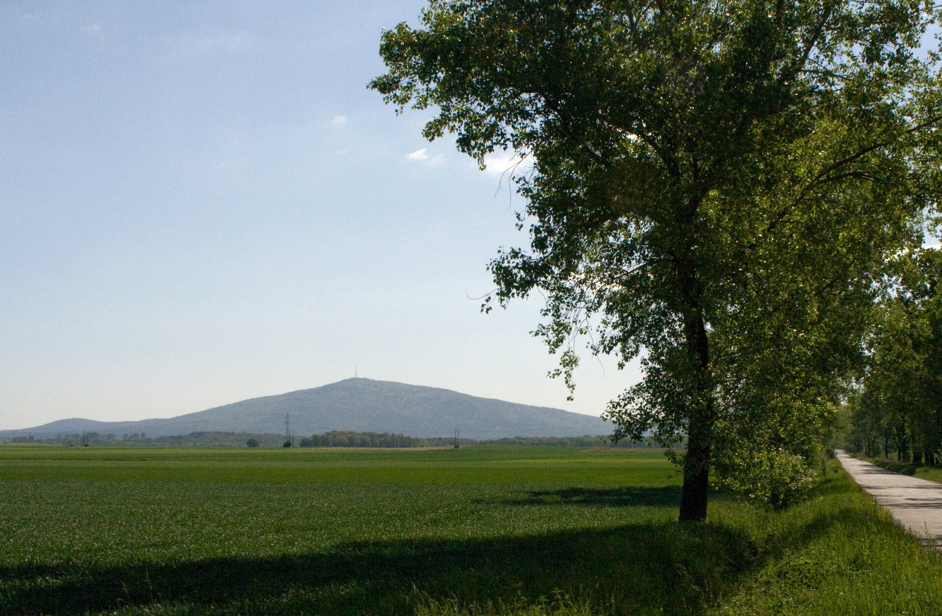 Fotografia przedstawia krajobraz. Na pierwszym planie widoczne jest zielone, rozległe pole uprawne, po prawej stronie droga, wzdłuż której biegnie aleja zielonych, wysokich, rozłożystych drzew. W oddali widoczne dwa wzniesienia, wysoka góra i znacznie niższe wzgórze lub pagórek.