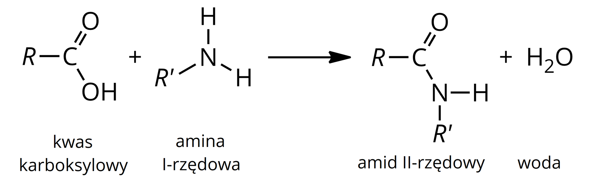 Ilustracja przedstawia schemat reakcji otrzymywania amidów II-rzędowych. Cząsteczka kwasu karboksylowego: do atomu węgla przyłączona wiązaniem pojedynczym grupa R i hydroksylowa OH oraz atom tlenu poprzez wiązanie podwójne plus amina I-rzędowa o wzorze: R prim przyłączone do atomu azotu dodatkowo związanego z dwoma atomami wodoru poprzez wiązania pojedyncze, strzałka w prawo: amid II-rzędowy o wzorze: do atomu węgla przyłączona grupa R, wiązaniem podwójnym atom tlenu, wiązaniem pojedynczym atom azotu. Do atomu azotu dodatkowo przyłączone są grupa R prim oraz atom wodoru poprzez wiązania pojedyncze. Produkt uboczny: cząsteczka wody.