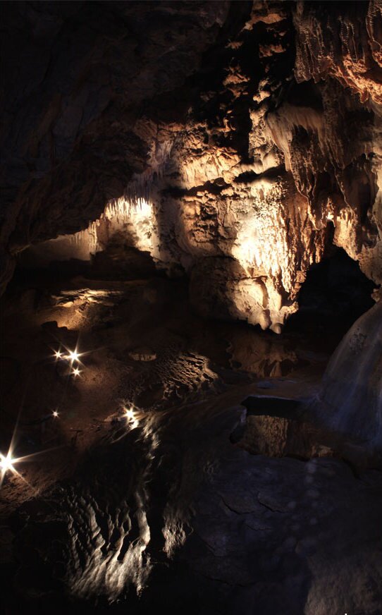 Zdjęcie przedstawia wnętrze jaskini. Na dnie jaskini jest woda. Ze stropu zwisają różne formy naciekowe. 