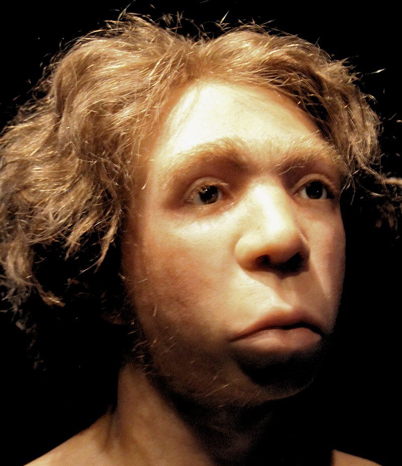 Ilustracja przedstawia twarz osobnika męskiego. Skóra ma kolor jasny. Osobnik ma blond, falowane włosy, które w nieładzie sterczą we wszystkie strony głowy. Jasne brwi i skromne owłosienie na brodzie. Osobnik ma brązowe oczy, szeroki nos i wydęte, duże usta.