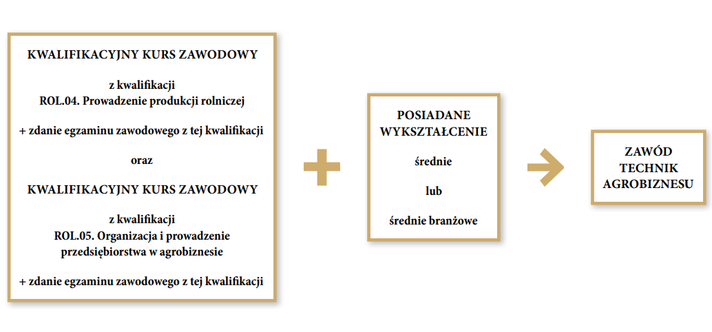 Grafika przedstawia ścieżkę możliwości kształcenia dla młodzieży szkół ponadpodstawowych i dla dorosłych w zawodzie technik agrobiznesu. Pierwszym krokiem do zawodu technika jest ukończenie kwalifikacyjnych kursów zawodowych z kwalifikacji R O L kropka zero cztery kropka. Prowadzenie produkcji rolniczej oraz R O L kropka zero pięć kropka. Organizacja i prowadzenie przedsiębiorstwa w agrobiznesie i zdanie egzaminów zawodowych z tych kwalifikacji. Drugim krokiem jest posiadanie wykształcenia średniego lub średniego branżowego.