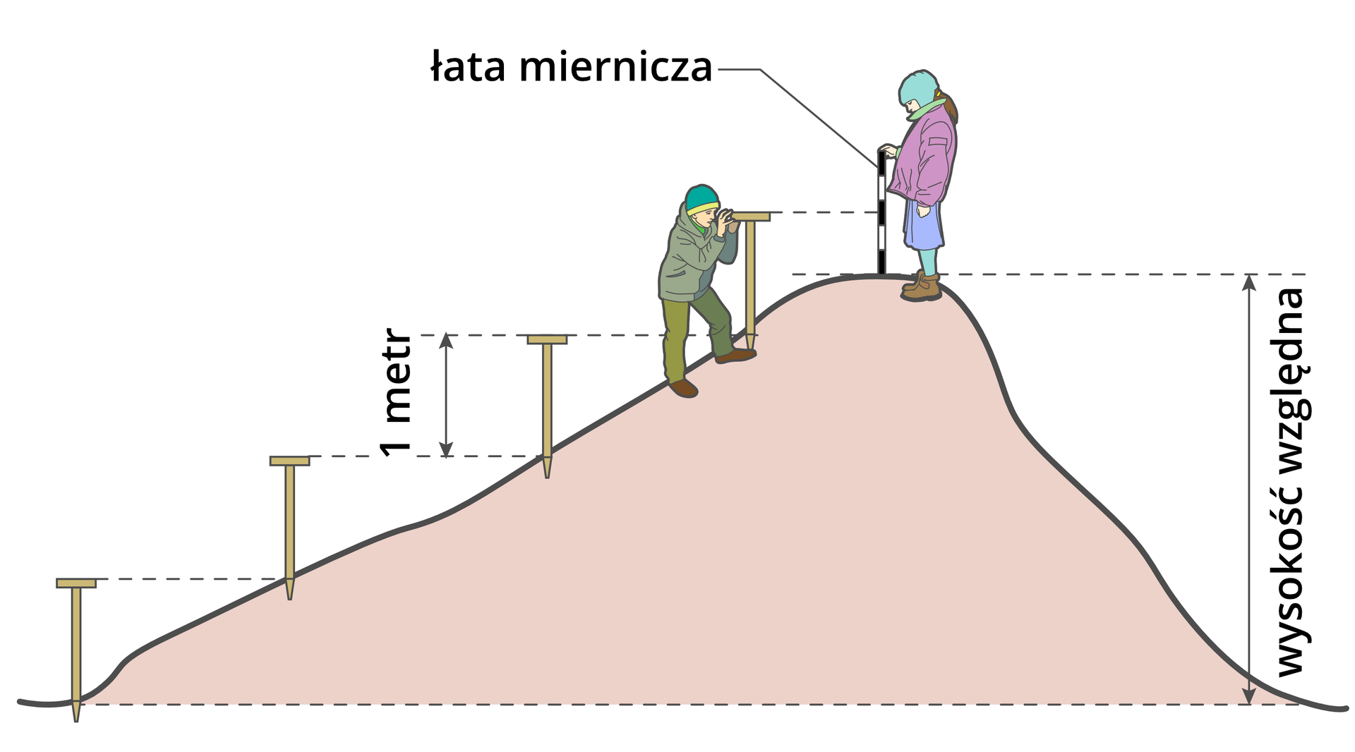 Ilustracja przedstawia pagórek, którego wysokość jest mierzona od podstawy do szczytu. Wysokość obiektu wskazuje pionowa linia. Linia sięga od podstawy do szczytu wzgórza. Jest to wysokość względna. Na szczycie stoi uczennica. Uczennica trzyma łatę mierniczą. Uczennica skierowana jest w stronę łagodnego zbocza pagórka. Poniżej uczeń odczytuje wysokość z łaty za pomocą celownika w drewnianym niwelatorze szkolnym. Poniżej ucznia wbite trzy niwelatory szkolne przedstawiające, jak uczeń i w którym miejscu uczeń wbijał je poprzednio. Pierwszy był wbity u podnóża pagórka, drugie miejsce w które został wbity niwelator jest na zboczu pagórka o jeden metr wyżej, czyli o długość niwelatora. Poprowadzona jest pozioma przerywana linia od górnego końca pierwszego niwelatora do podstawy – miejsca wbicia drugiego. Trzeci i czwarty niwelator wbite są analogicznie każdy o metr wyżej od poprzedniego i podobnie poprowadzone są przerywane linie.