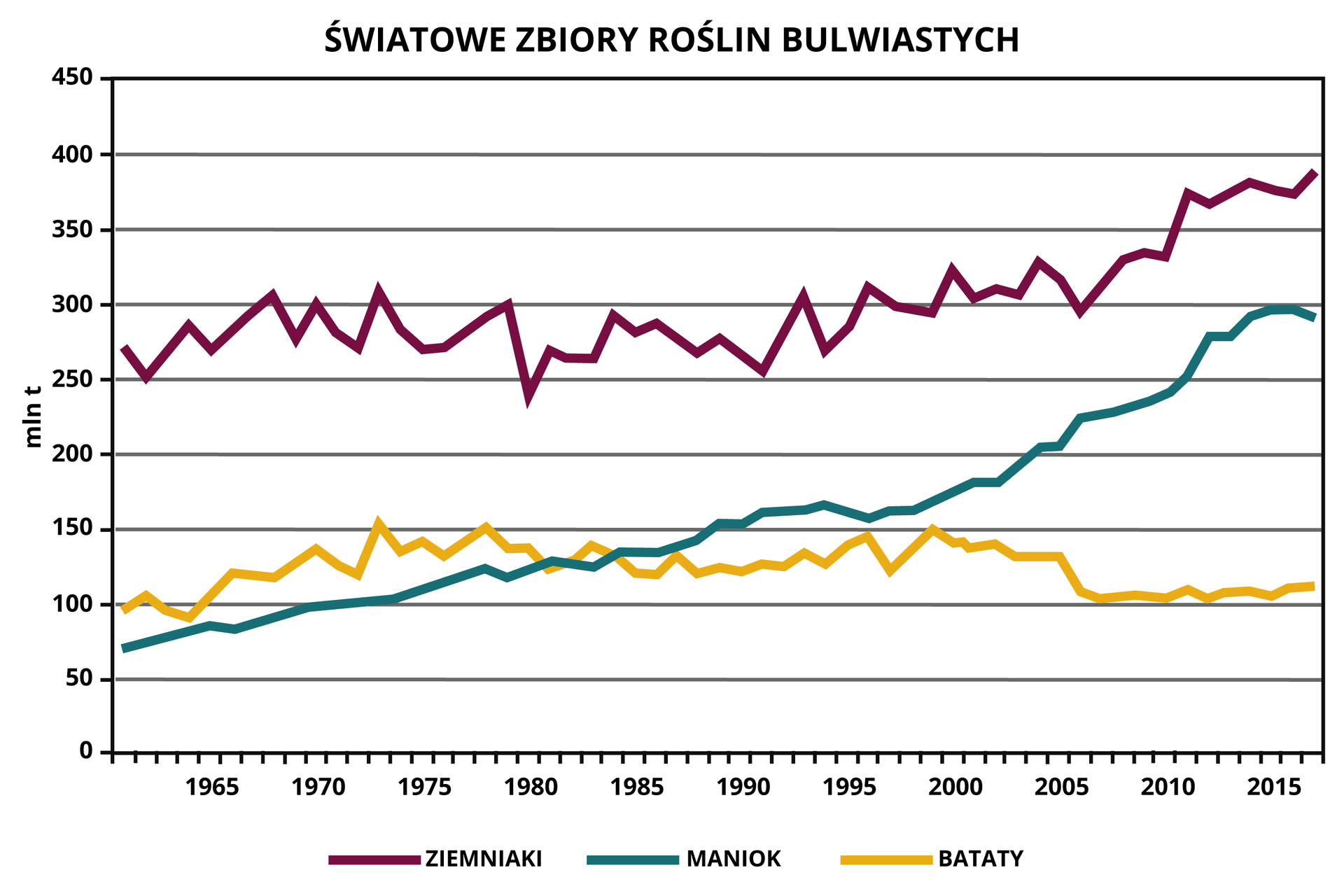 Wykres przedstawia światowe zbiory roślin bulwiastych: ziemniaków, manioku i batatów, w latach 1960-2018. Krzywa dotycząca ziemniaków ma liczne wahania, rozpoczyna się od wartości 270 milionów ton, a kończy na wartości 390 milionów ton. Krzywa dotycząca batatów - rozpoczyna się od wartości 100 milionów ton, następnie ma maksymalne wartości w latach 1975, 1978, 1995 i 2000 - około 150 milionów ton. Od roku 2005 zbiory batatów są stabilne i wynoszą około 100 milionów ton. Krzywa dotycząca manioku jest rosnąca od wartości około 75 milionów ton w latach 60. do wartości aż 300 milionów ton w 2018 roku.