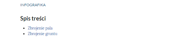 Zdjęcie przedstawia wypunktowaną listę tytułów infografik. Tytuły mają kolor niebieski