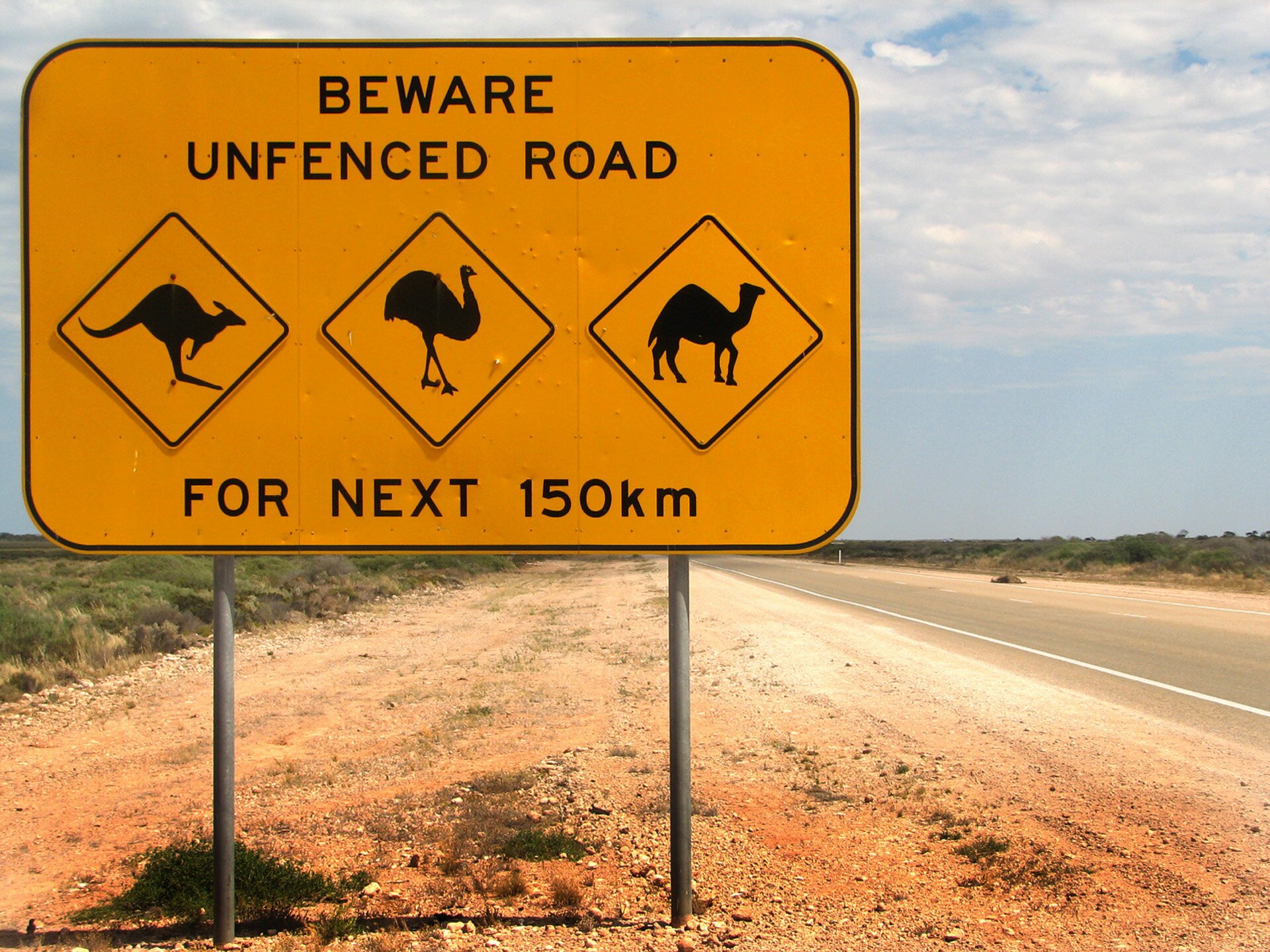 Na ilustracji tablica informacyjna ustawiona na żwirowym poboczu przy drodze asfaltowej. Na tablicy napisy i piktogramy zwierząt: kangur, struś, wielbłąd.