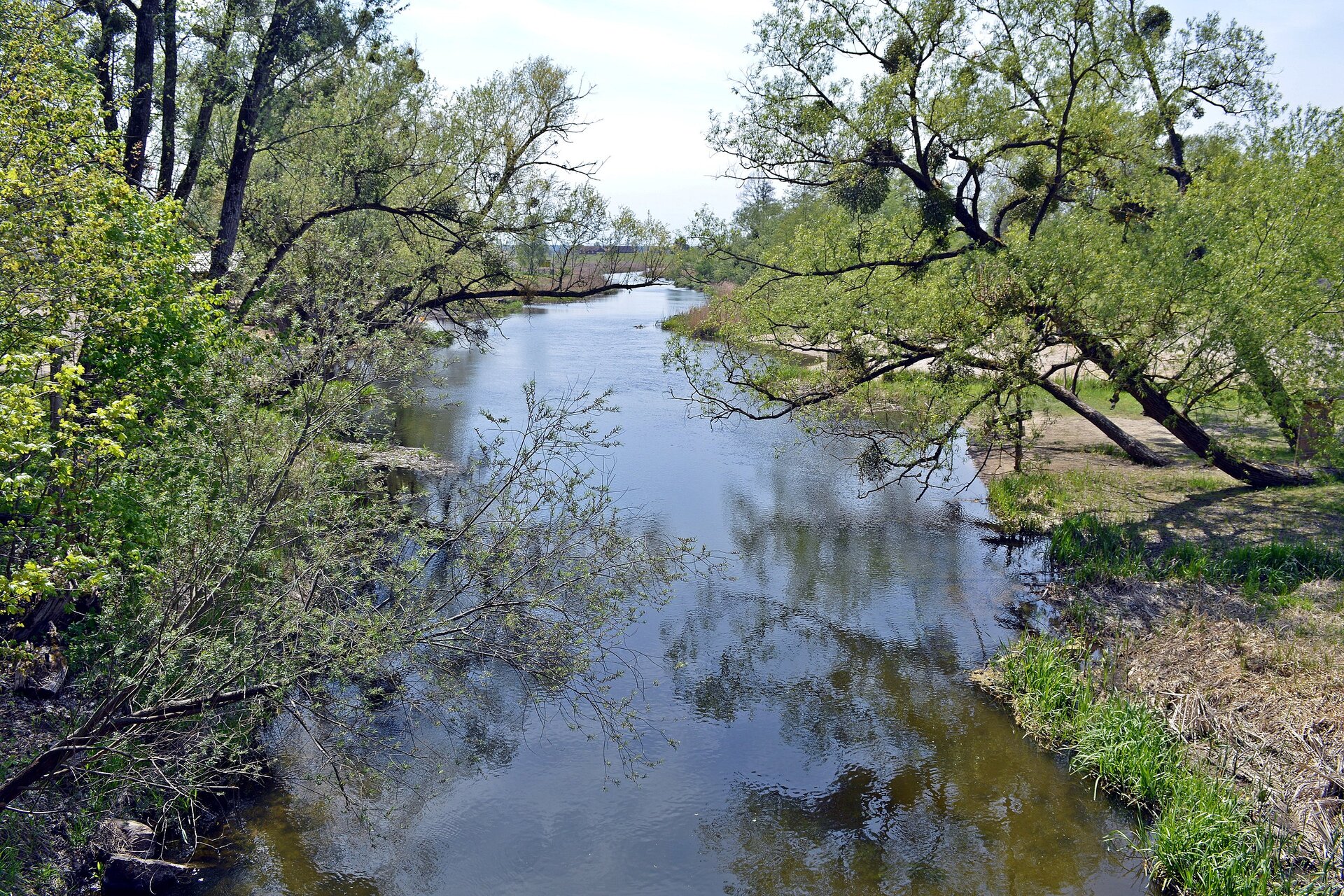 Zdjęcie. Pośrodku płynąca niewielka rzeka, po bokach drzewa liściaste oraz płaski, piaszczysty teren.