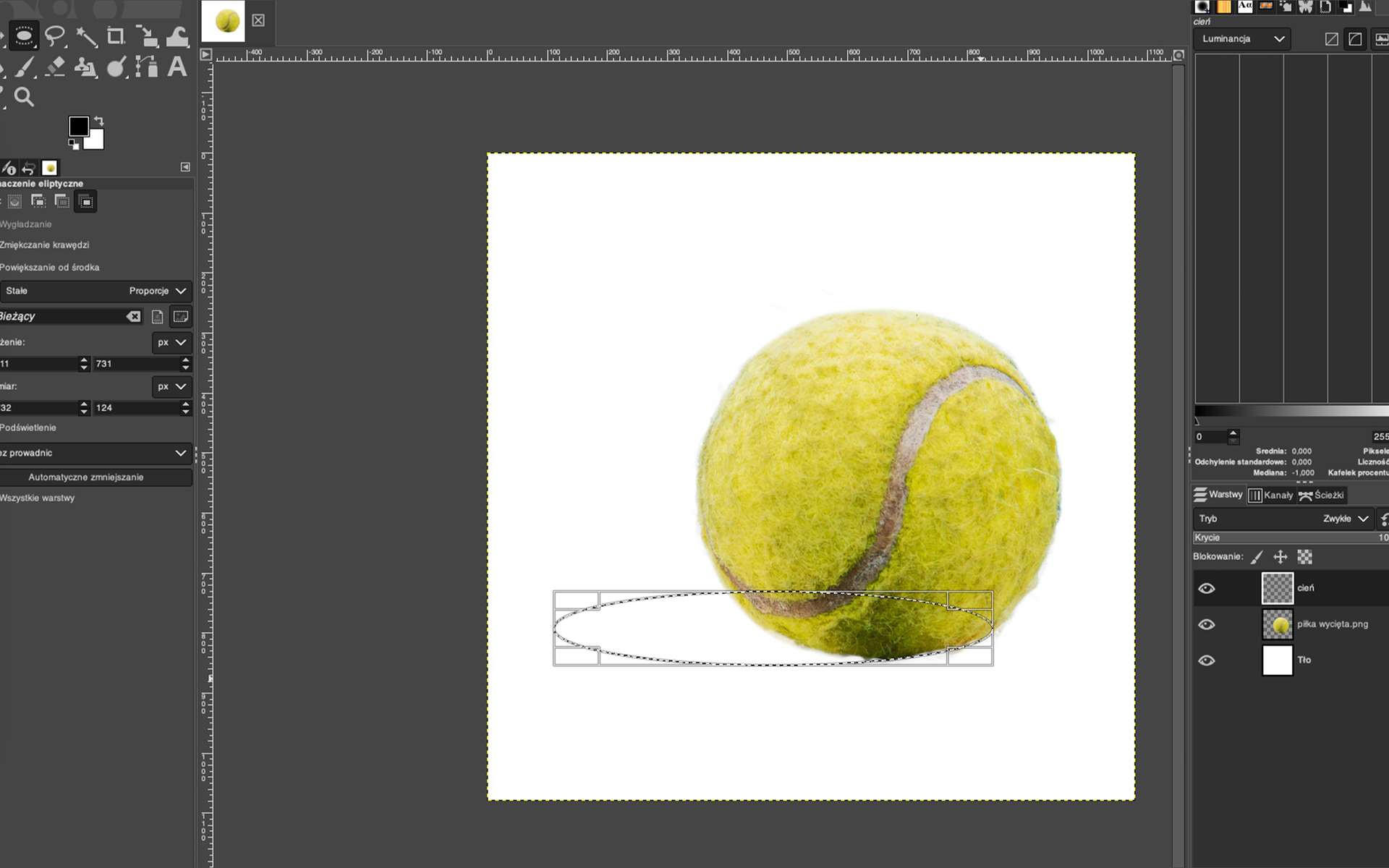 Ilustracja przedstawia okno programu. Po lewej stronie jest panel dotyczący Zaznaczenie eliptyczne. W obszarze roboczym jest piłka tenisowa na białym tle. W dolnej części jest po lewej stronie pozioma elipsa. Po prawej stronie jest panel dotyczący warstw. 