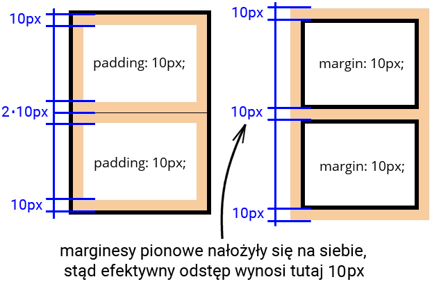 Ilustracja przedstawia dwa bloku padding oraz dwa bloki margin.  1: Dwa bloki padding o wartości 10 px otoczone są czarnym obramowaniem.  Wewnątrz tego obramowania znajduje się warstwa wypełniona kolorem pomarańczowym.  Pomiędzy blokami znajduje się podwójna warstwa koloru pomarańczowego.  Na miarce po lewej stronie oznaczono grubość warstw koloru pomarańczowego: górna warstwa 10px, dolna 2 razy 10px, dolna 10 px.  Po prawej stronie znajdują się dwa bloki margin o wartości 10px.  Bloki te otoczone są warstwą koloru pomarańczowego.  Wewnątrz znajdują się dwa bloki obramowane czarnym kolorem.  Na marce po lewej stronie wypisano szerokość warstwy koloru pomarańczowego.  Górna warstwa 10px, środkowa 10px, dolna 10px.  Poniżej znajduje się strzałka wskazująca na szerokość 10px pomiędzy blokami od treści:  Marginesy pionowe nałożyły się na siebie stąd efektywny odstęp wynosi tutaj 10px.