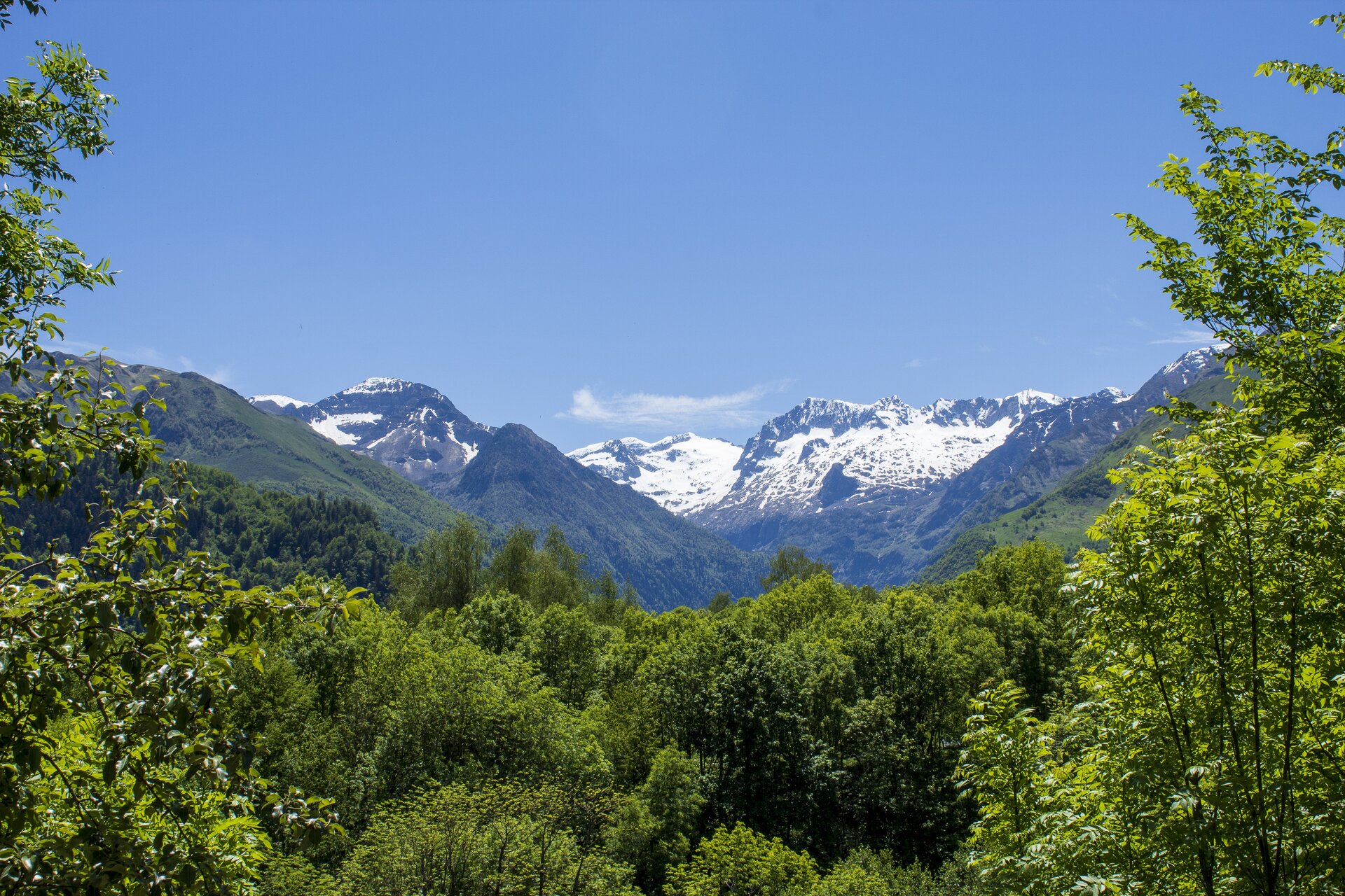Ilustracja przedstawia górzysty krajobraz