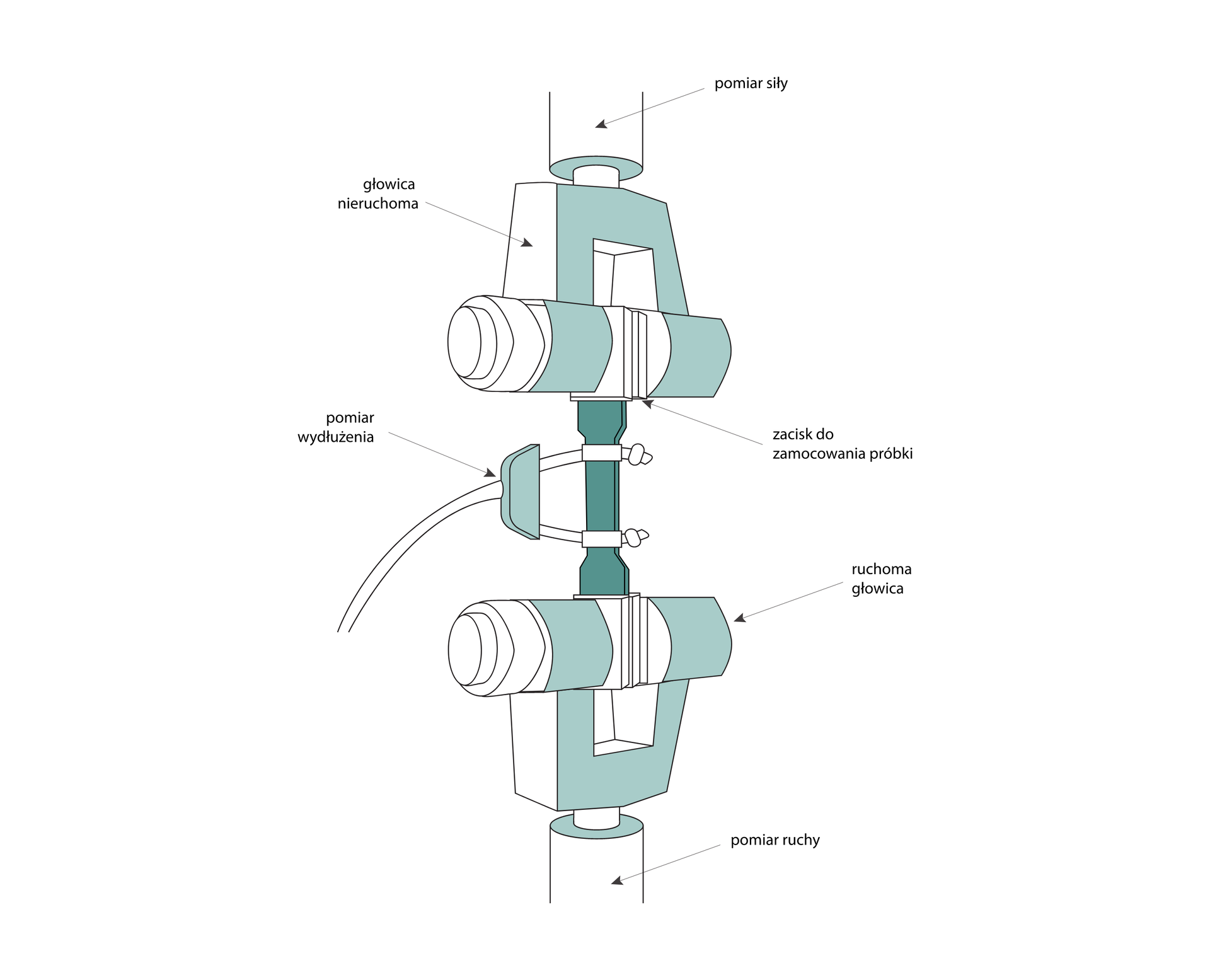 Budowa maszyny wytrzymałościowej