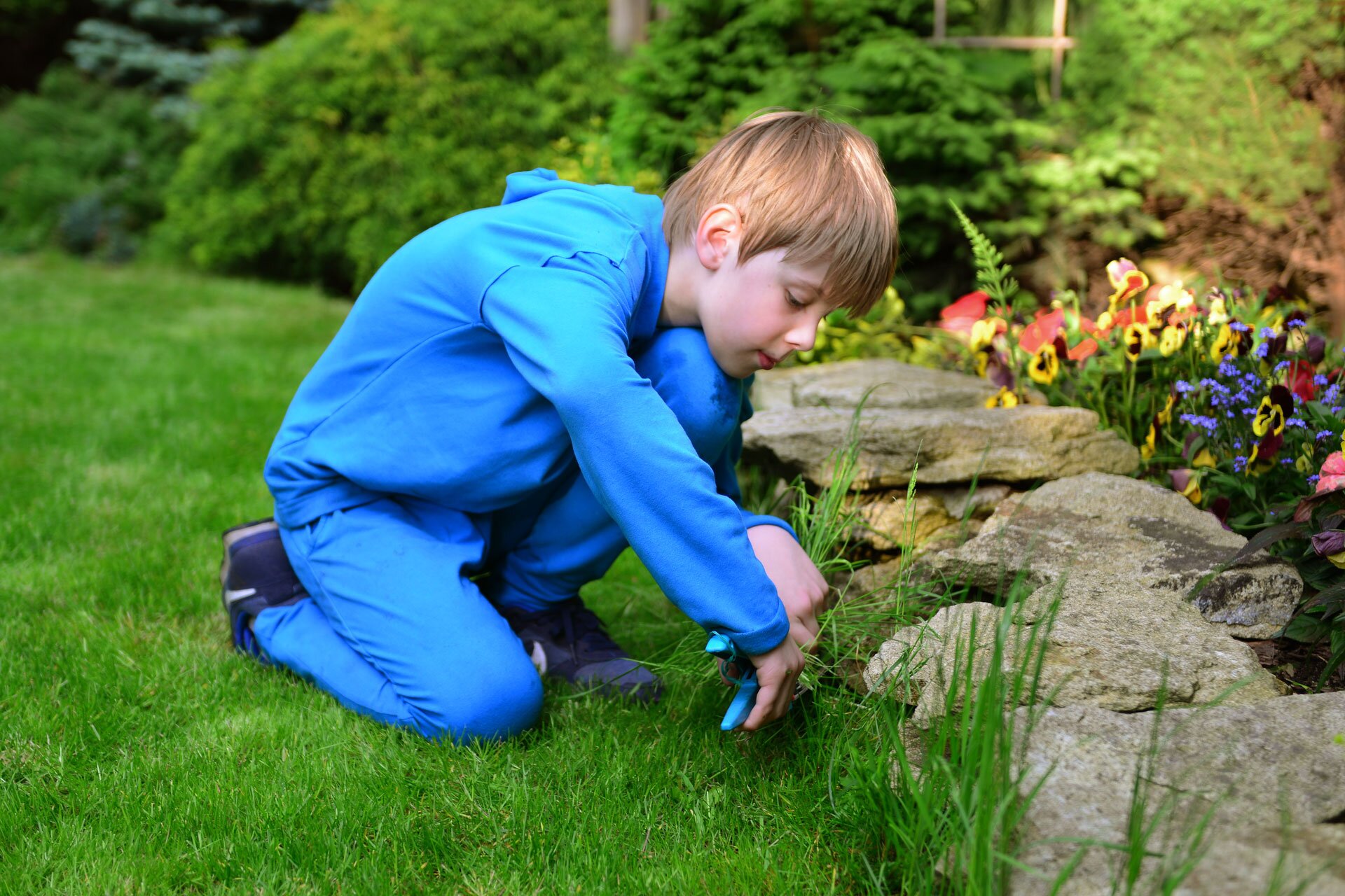 Fotografia przedstawia chłopca obcinającego małym ogrodowym sekatorem trawę w ogrodzie, przy niskim murku z kamieni ułożonych jeden na drugim. Chłopiec siedzi na skoszonym trawniku. Pozostała wyższa trawa przy kamiennym murku. Za murkiem rosną kwiaty i inne rośliny. Chłopiec ma na sobie niebieski dres.