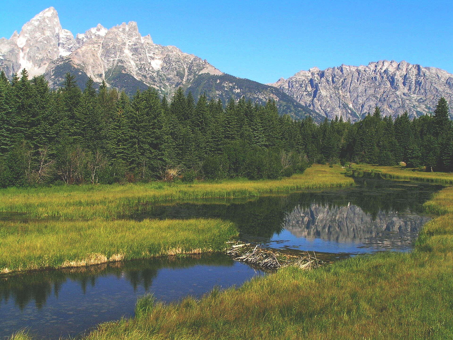 Kliknij, aby powiększyć. Na zdjęciu ukazano pejzaż górskiej doliny. Na pierwszym planie widzimy rzekę przepływającą przez dolinę. Brzegi rzeki są gęsto porośnięte niskimi trawami. W poprzek rzeki, w jej najwęższym miejscu bobry zbudowały tamę. Pełna patyków i gałęzi tama oddziela jedną część rzeki od drugiej. Za nadrzecznymi zaroślami rośnie gęsty las iglasty, w tle widać strzeliste szczyty gór, a nad nimi błękitne niebo.