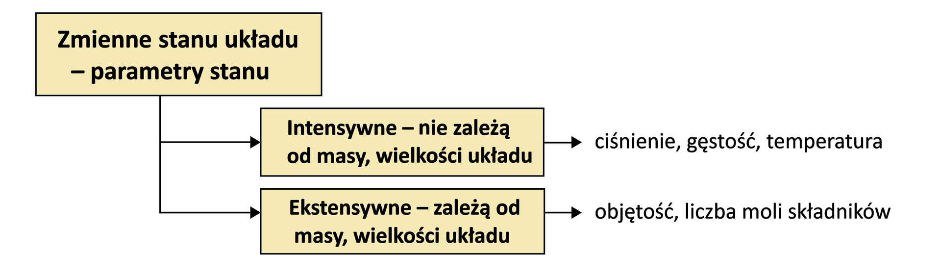 Ilustracja przedstawiająca podział parametrów stanu, czyli zmiennych stanu układu na intensywne i ekstensywne. Parametry intensywne nie zależą od masy i wielkości układu, na przykład ciśnienie, gęstość czy temperatura. Z kolei parametry ekstensywne zależą od masy i wielkości układu, na przykład objętość czy liczba moli składników.