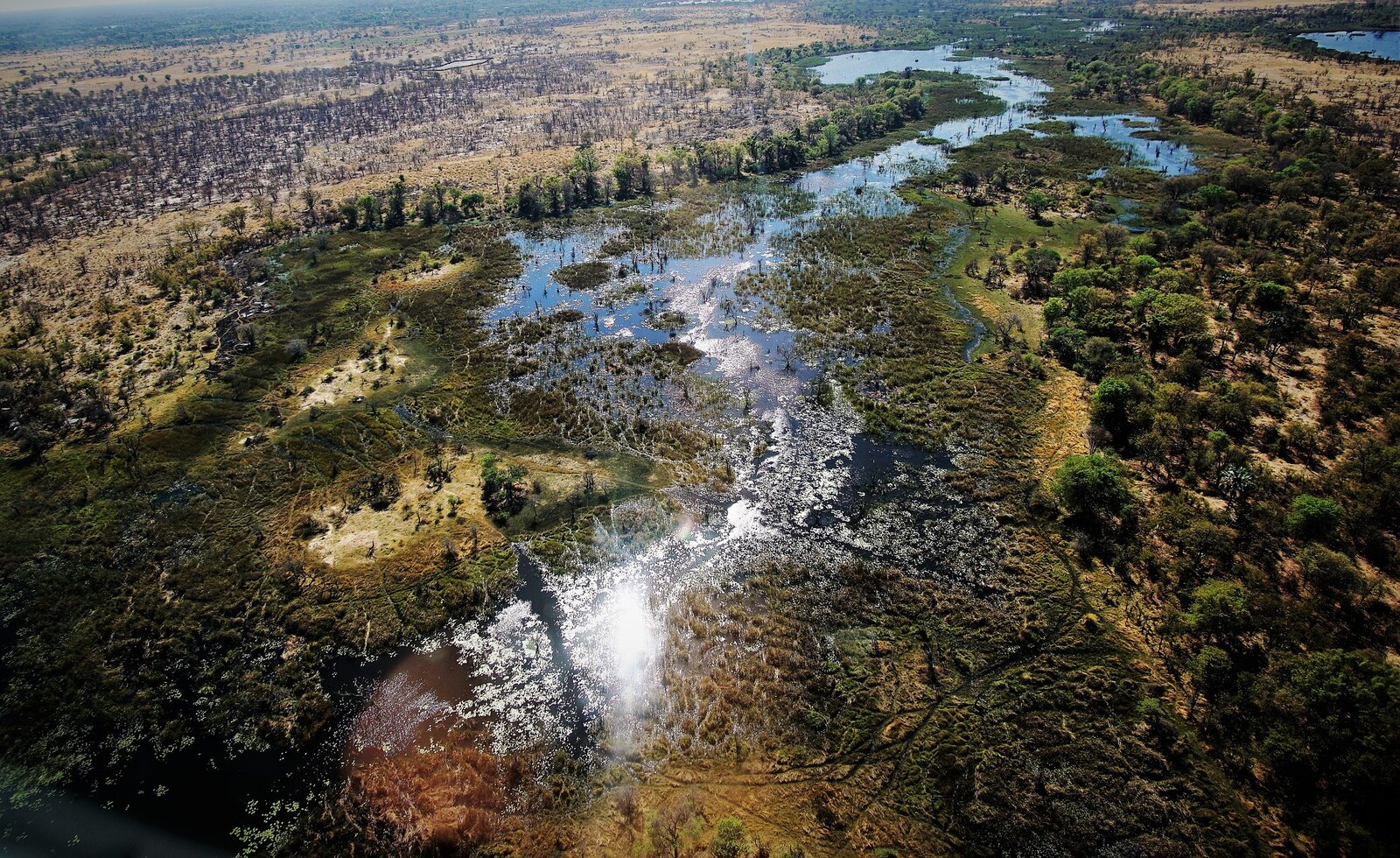 Na zdjęciu znajduje się delta rzeki Okawango. Widać wodę rozlaną na terenie częściowo pokrytym roślinnością, a częściowo pustynnym.