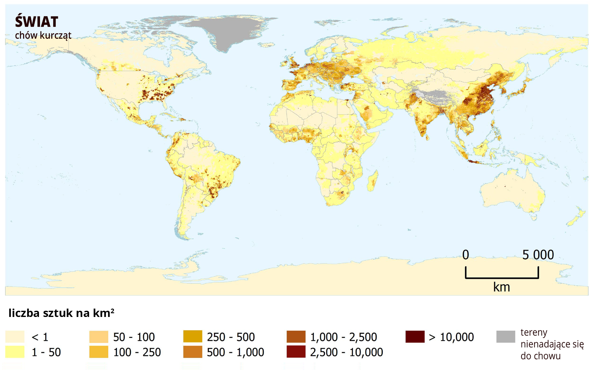 Ilustracja przedstawia mapę świata. Mapa pokazuje rozmieszczenie chowu kurcząt. W legendzie oznaczonych jest dziewięć przedziałów. Każdy ma swój kolor. Najjaśniejszym – beżowym oznaczono obszary, gdzie chowa się poniżej 1 sztuki kurczaka na kilometr kwadratowy. Następne przedziały to 1–50 (kolor jasnożółty), 50–100 (kolor żółty), 100–250 (kolor ciemnożółty), 250–500 (kolor pomarańczowy), 500–1000 (kolor ciemnopomarańczowy), 1000–2500 (kolor jasnobrązowy), 2500–10000 (kolor brązowy), powyżej 10000 sztuk na kilometr kwadratowy (kolor ciemnobrązowy). Obszary intensywnego chowu kurcząt to południowo wschodnie i wschodnie stany USA, Południowo‑wschodnia Brazylia, Ameryka Środkowa i północno‑zachodnie wybrzeże Ameryki Południowej. W Afryce – obszary na północ od Zatoki Gwinejskiej. Obszar Europy poza Europą Północną. W Azji - Pakistan, Półwysep Dekan i Azja Południowo‑Wschodnia oraz Japonia.