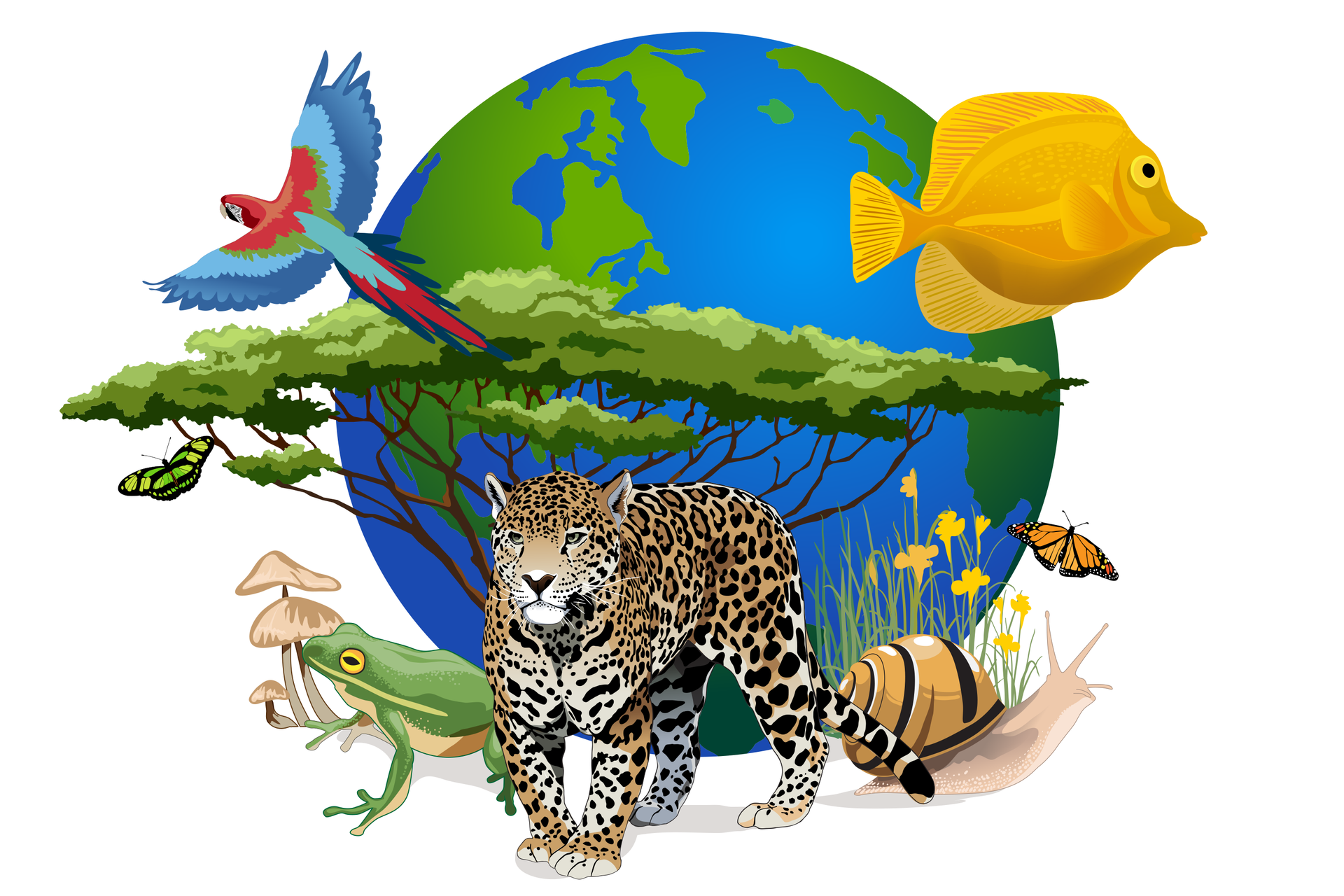 Ilustracja prezentuje niebiesko‑zieloną kulę ziemską, na tle której umieszczono kolorową papugę, żółtą rybę, akacje, zieloną żabę, grzyby, motyle, ślimaka oraz jaguara.