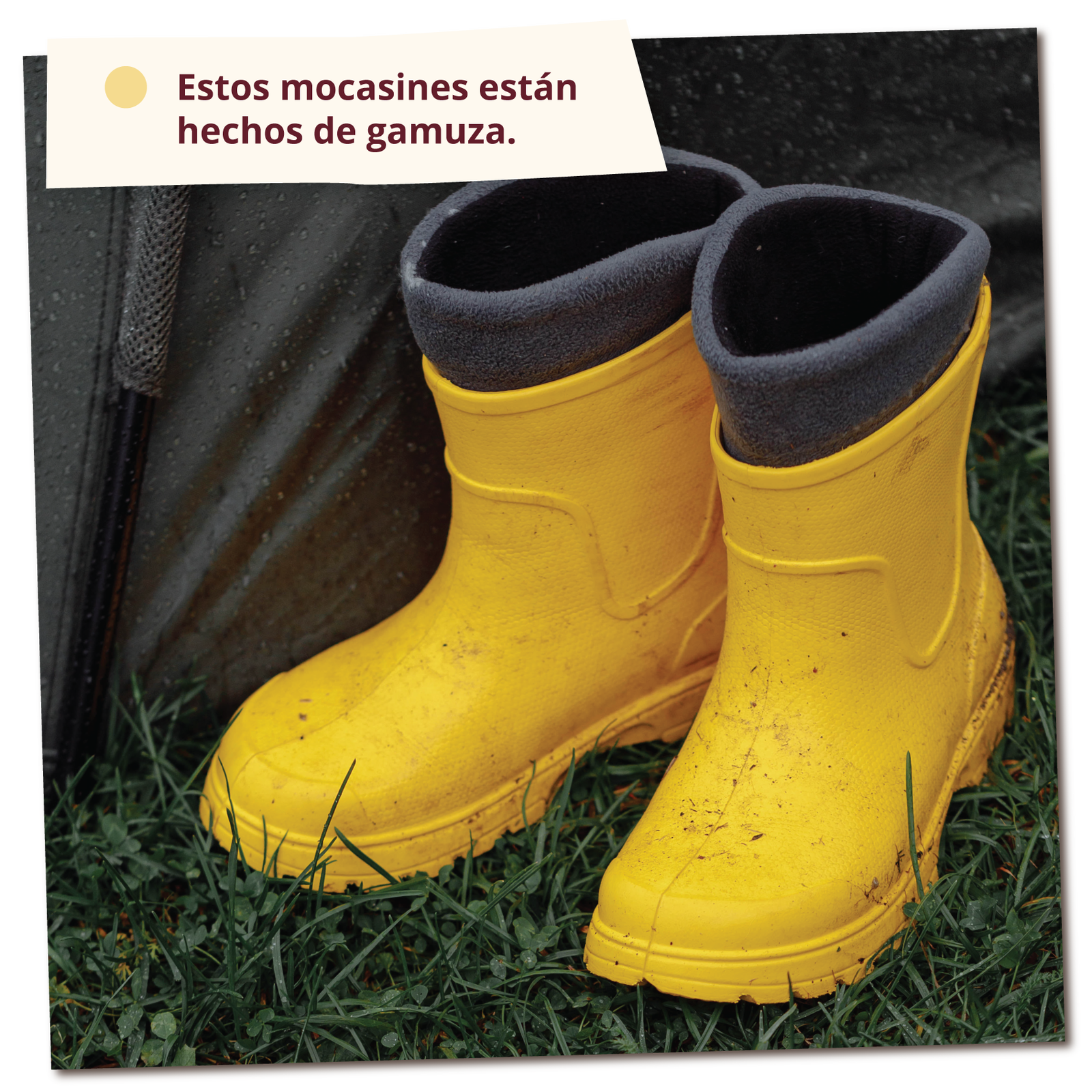 Na zdjęciu widoczna jest para żółtych, gumowych kaloszy leżących na trawie. Podpis na zdjęciu: Estas botas de lluvia están hechas de caucho.