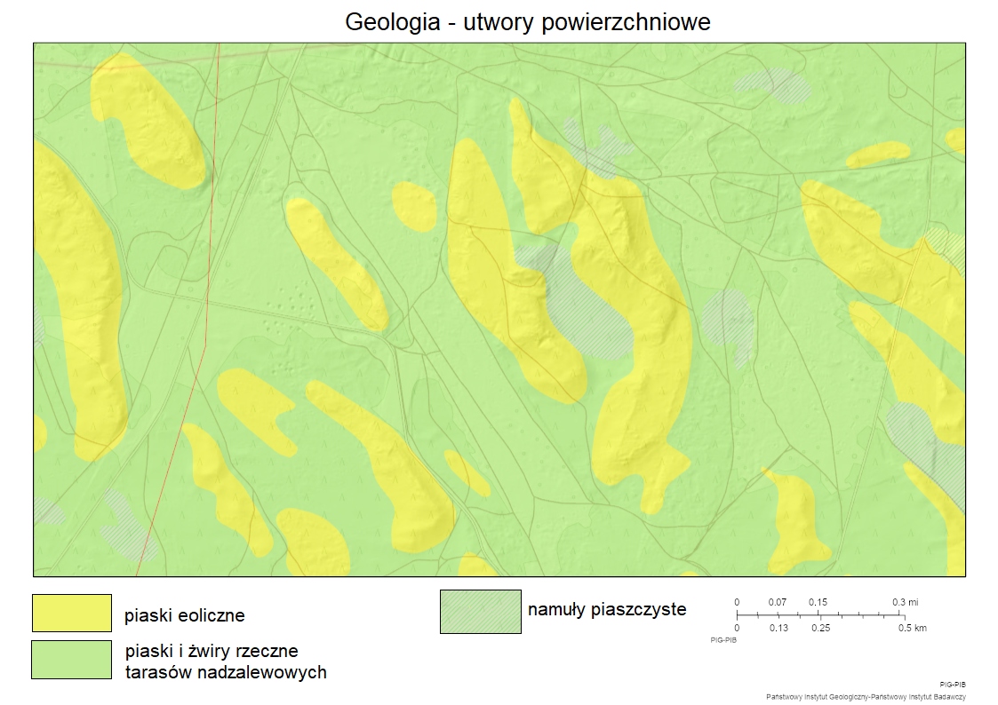 Mapa przedstawia geologiczne utwory powierzchniowe. Większość terenu zajmują piaski i żwiry rzeczne tarasów nadzalewowych oraz namuły piaszczyste. W miejscach wzniesień znajdują się piaski eoliczne.