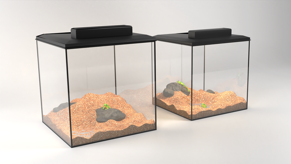 Ilustracja przedstawia dwa szklane terraria z kamieniami i podłożem w środku. 