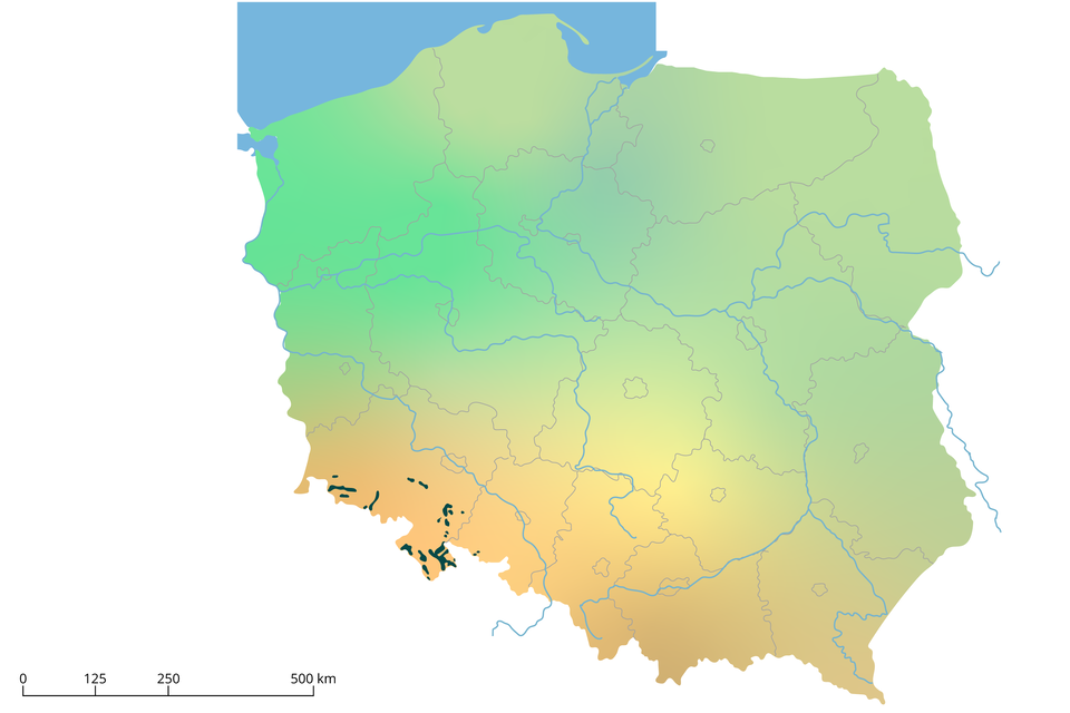 Mapa G. Na mapie Polski w województwach dolnośląskim (na zachodzie, w centrum oraz na południu) i na południu województwa opolskiego są ciemnozielone punkty.  W województwie opolskim to tylko jeden punkt. 