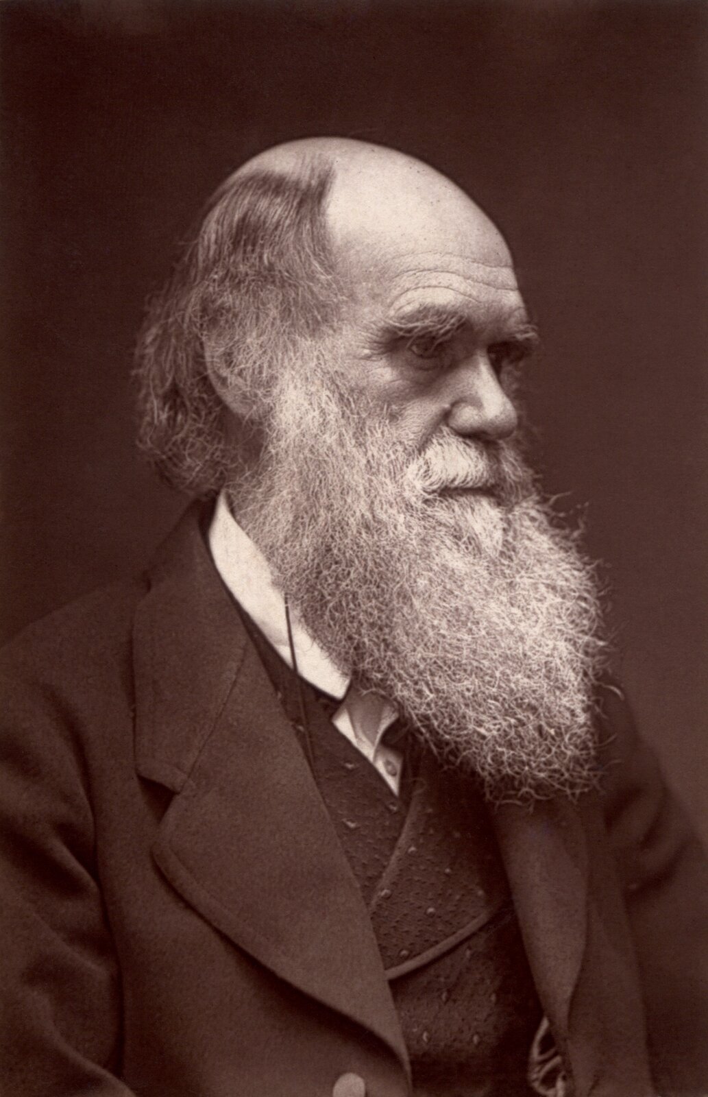 Ilustracja przedstawia profil starszego mężczyzny z długą brodą.