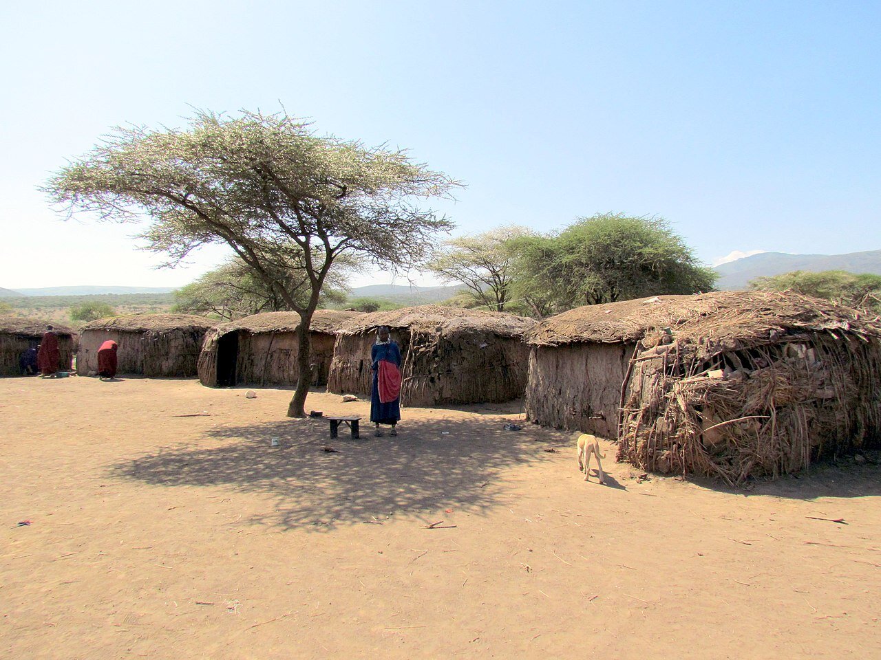 Fotografia. Na niej wioska afrykańska. Po prawej stronie pięć chat glinianych ze słomianym dachem, w kształcie koła. Wokół nich piasek, w oddali drzewa i pasma górskie. Przed chatą drzewo, w jego cieniu stoi kobieta ubrana w niebieską, długą suknię, obok niej ławka. 