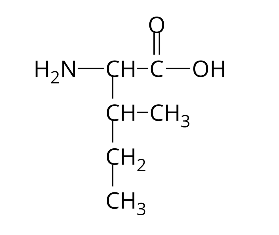 Wzór półstrukturalny izoleucyny. Do grupy H indeks dolny, dwa, koniec indeksu dolnego, N z prawej strony przyłączona jest grupa C H. Od niej odchodzą dwa wiązania pojedyncze. Pierwsze skierowane jest w prawo do atomu węgla. Od niego odchodzą dwa wiązania: podwójne w górę, prowadzące do atomu tlenu i pojedyncze w prawo do grupy O H. Drugie wiązanie odchodzące od grupy C H skierowane jest w dół i łączy się z grupą C H, od której odchodzą dwa pojedyncze wiązania: w prawo do grupy C H indeks dolny, trzy, koniec indeksu dolnego i w dół do grupy C H indeks dolny, dwa, koniec indeksu dolnego, a od niej kolejne pojedyncze wiązanie w dół do grupy C H indeks dolny, trzy, koniec indeksu dolnego.