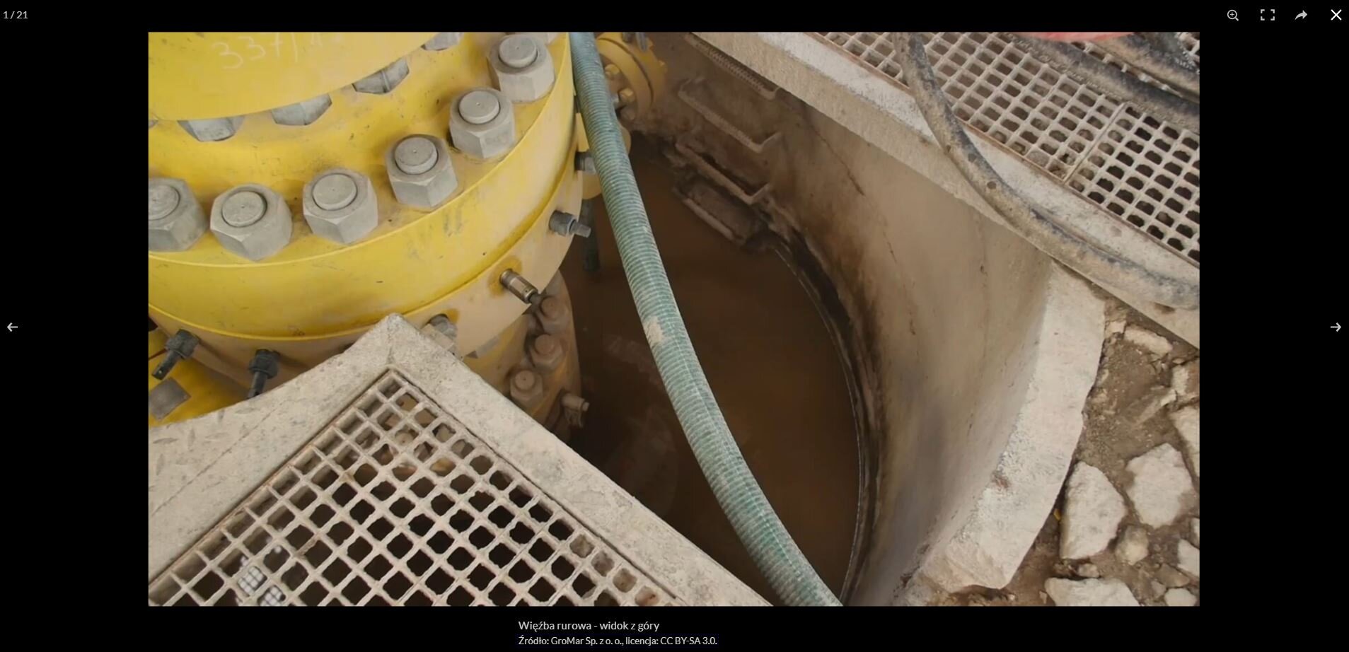 Przykładowy widok zdjęcia z galerii