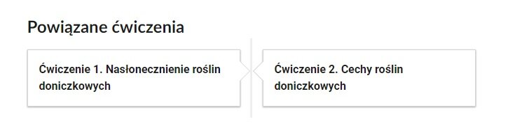 Grafika przedstawia widok przykładowego przycisku ćwiczeń powiązanych z danym multimedium. Na samej górze umieszczony jest nagłówek: Powiązane ćwiczenia. Pod nim znajduje się pionowa oś czasu. Składa się z dwóch kafelków. Pierwszy kafelek zawiera napis: Ćwiczenie pierwsze. Nasłonecznienie roślin doniczkowych. Drugi kafelek zawiera napis: Ćwiczenie drugie. Cechy roślin doniczkowych. 