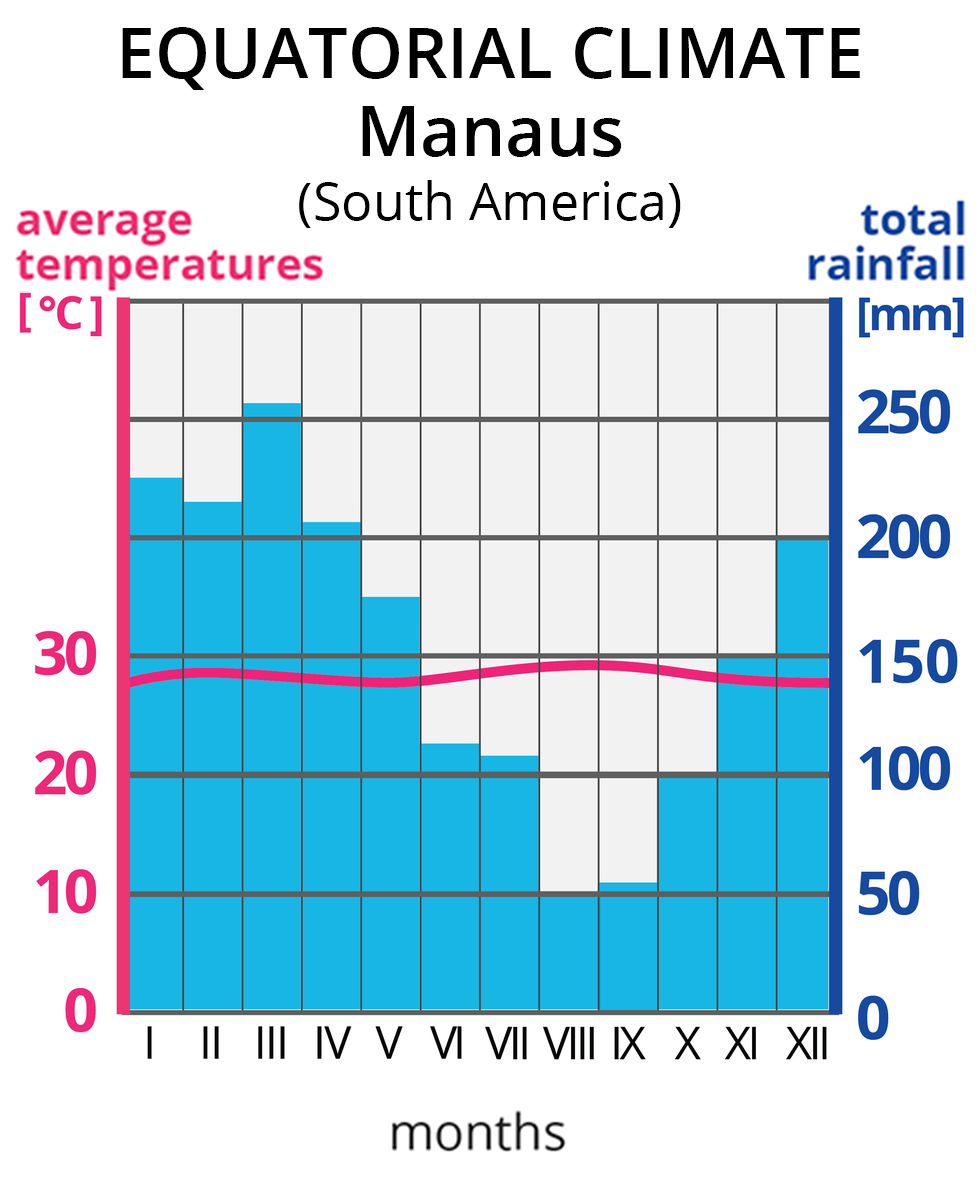 Ilustracja prezentuje wykres – klimatogram, klimatu równikowego z Manaus w Ameryce Południowej (equatorial climate Manaus South America). Na lewej osi wykresu wyskalowano średnie temperatury w stopniach Celsjusza (average temperatures), na prawej osi wykresu wyskalowano sumy opadów w mm (total rainfall). Na osi poziomej zaznaczono cyframi rzymskimi kolejne miesiące (months). Czerwona pozioma linia na wykresie, to średnie temperatury w poszczególnych miesiącach. Tutaj na wysokości około 29 OC. Niebieskie słupki, to wysokości sum opadów w poszczególnych miesiącach. Najwyższe , powyżej 200 mm, w miesiącach grudzień-maj. Najniższe opady, poniżej 100 mm, czerwiec-październik. 
