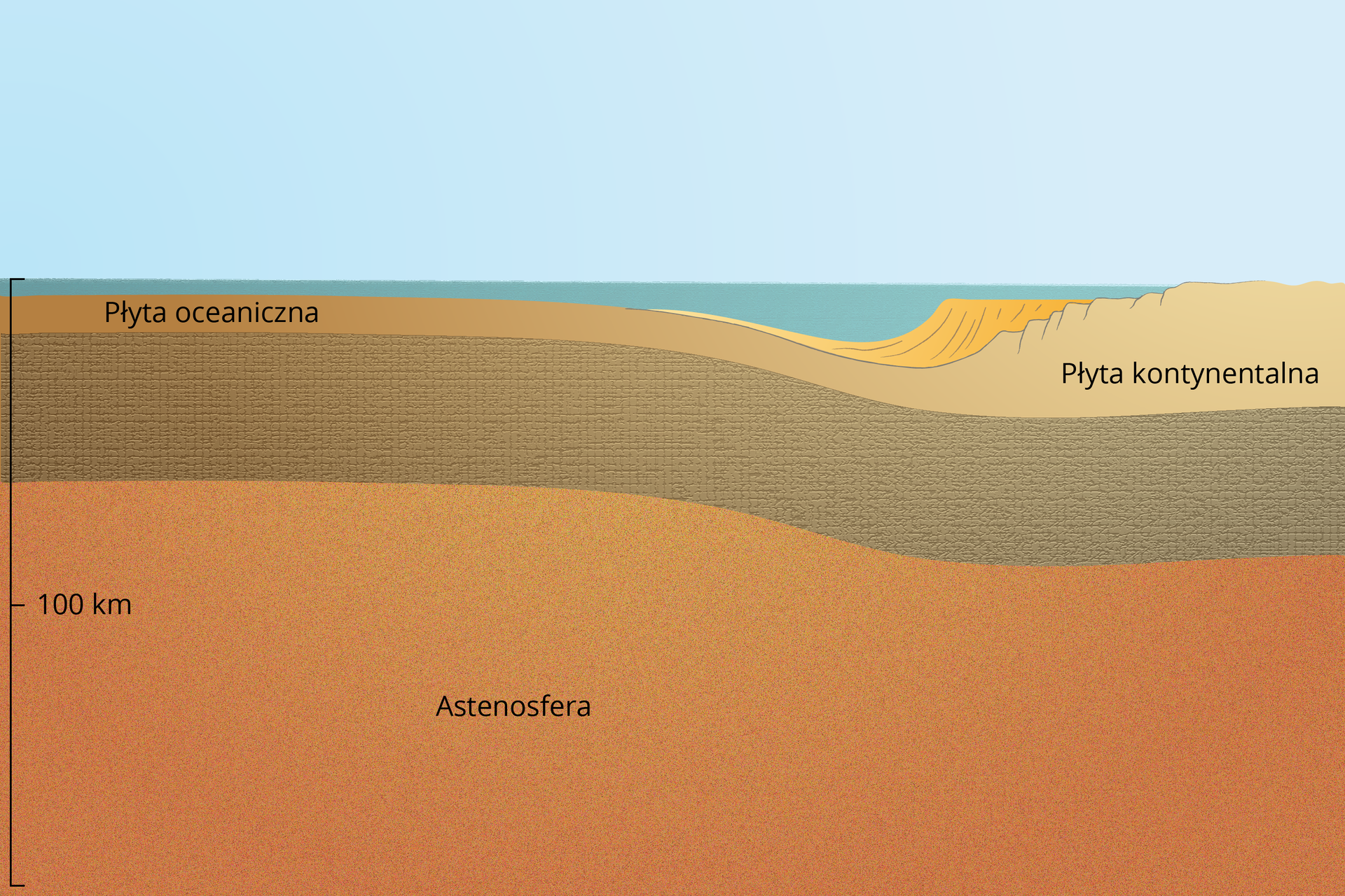 Ilustracja przedstawia przekrój przez kilka warstw. Od dołu jest warstwa astenosfery. Ma górną warstwę - brązową i dolną - pomarańczową. Górna warstwa sięga od około 20 do 60 kilometrów pod oceanem i od około 40 do 90 pod kontynentem. Poniżej górnej warstwy jest dolna. Nad górną warstwą pod oceanem zaznaczono płytę oceaniczną. Graniczy ona z płytą kontynentalną leżącą pod lądem i nieco pod oceanem. Płyty stykają się ze sobą. Pomiędzy jedną a drugą płytą jest obniżenie terenu, zagłębienie. 