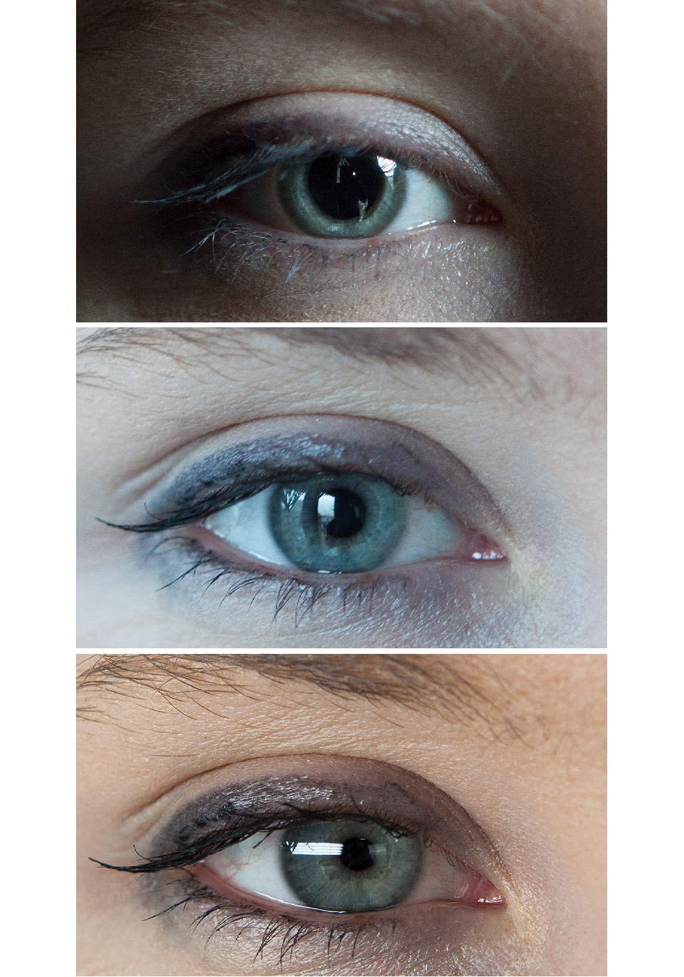 Trzy fotografie przedstawiają zbliżenia oka w różnym oświetleniu. 1 w słabym świetle czarna źrenica jest mocno poszerzona, a tęczówka zwężona. 2 w normalnym oświetleniu. Czarna źrenica jest okrągła, średniej wielkości, tęczówka również średniej wielkości. 3 w ostrym świetle czarna źrenica jest mocno zwężona, a tęczówka bardzo poszerzona.