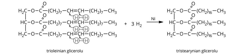 Na ilustracji ukazano równanie reakcji. Pierwszy wzór zbudowany jest z grup H indeks dolny, dwa, koniec indeksu dolnego, C, H C i H indeks dolny, dwa, koniec indeksu dolnego, C połączonych wiązaniami pojedynczymi. Od każdej z nich odchodzi wiązanie pojedyncze do atomów tlenu O, od których odchodzi wiązanie pojedyncze do atomów węgla C, od których odchodzą po dwa wiązania: podwójne na ukos w górę do atomu tlenu O i w prawo do grup nawias, C H indeks dolny, dwa, koniec indeksu dolnego, zamknięcie nawiasu, indeks dolny, siedem, koniec indeksu dolnego. Od nich odchodzi wiązanie pojedyncze w prawo do grupy C H, która połączona jest wiązaniem podwójnym z drugą grupą C H. Do atomów węgla C w tych grupach prowadzą strzałki poprowadzone od znajdujących się poniżej atomów wodoru H połączonych wiązaniem pojedynczym. Atomy wodoru znajdują się w okręgach. Od drugiej grupy C H odchodzi wiązanie pojedyncze w prawo do grupy nawias, C H indeks dolny, dwa, koniec indeksu dolnego, zamknięcie nawiasu, indeks dolny, siedem, koniec indeksu dolnego, od której odchodzi wiązanie pojedyncze w prawo do grupy C H indeks dolny, trzy, koniec indeksu dolnego. Pod wzorem znajduje się napis: trioleinian glicerolu. Dalej znajduje się znak plus i trzy cząsteczki H indeks dolny, dwa, koniec indeksu dolnego, a za nimi strzałka w prawo, nad którą znajduje się symbol N i. Za strzałkami znajduje się wzór zbudowany z grup H indeks dolny, dwa, koniec indeksu dolnego, C, H C i H indeks dolny, dwa, koniec indeksu dolnego, C połączonych wiązaniami pojedynczymi. Od każdej z nich odchodzi wiązanie pojedyncze do atomów tlenu O, od których odchodzi wiązanie pojedyncze do atomów węgla C, od których odchodzą po dwa wiązania: podwójne na ukos w górę do atomu tlenu O i w prawo do grup nawias, C H indeks dolny, dwa, koniec indeksu dolnego, zamknięcie nawiasu, indeks dolny, szesnaście, koniec indeksu dolnego. Od nich odchodzi wiązanie pojedyncze w prawo do grupy C H indeks dolny, trzy, koniec indeksu dolnego. Pod wzorem znajduje się napis: tristearynian glicerolu.