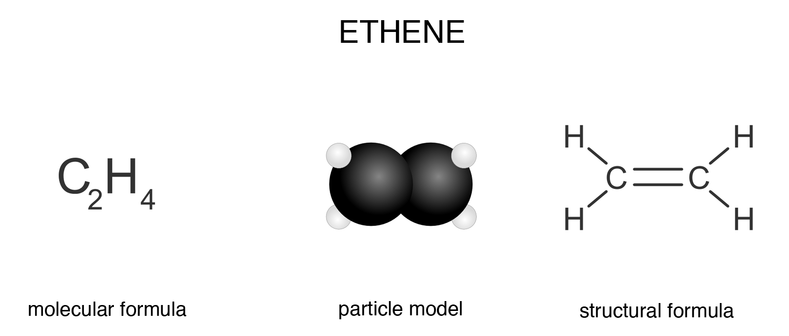 Schemat przedstawia wzór sumaryczny, strukturalny oraz model cząsteczki etenu (ethene). Wzór sumaryczny (molecular formula) etenu to C2H4. Model cząsteczki (particle model) przedstawia dwie czarne kule (atomy węgla). Do każdej czarnej kuli przylegają dwie mniejsze, białe kule (atomy wodoru).