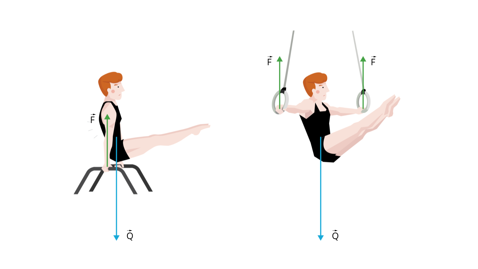 Ilustracja przedstawia dwa rysunki sportowca wykonującego ćwiczenia akrobatyczne na dwóch przyrządach. Na rysunku po lewej przyrząd to koń z łękami, narysowano wektor skierowany pionowo do góry, prostopadle do podłoża, od dłoni do barku sportowca i podpisano F ze strzałką nad literą oraz wektor skierowany pionowo do dołu, od pasa sportowca i podpisano Q ze strzałką nad literą. Na rysunku po prawej przyrząd to kółka gimnastyczne, narysowano dwa wektory skierowane pionowo do góry, prostopadle do podłoża, od dłoni sportowca i podpisano F ze strzałką nad literą oraz wektor skierowany pionowo do dołu, od pasa sportowca i podpisano Q ze strzałką nad literą. 