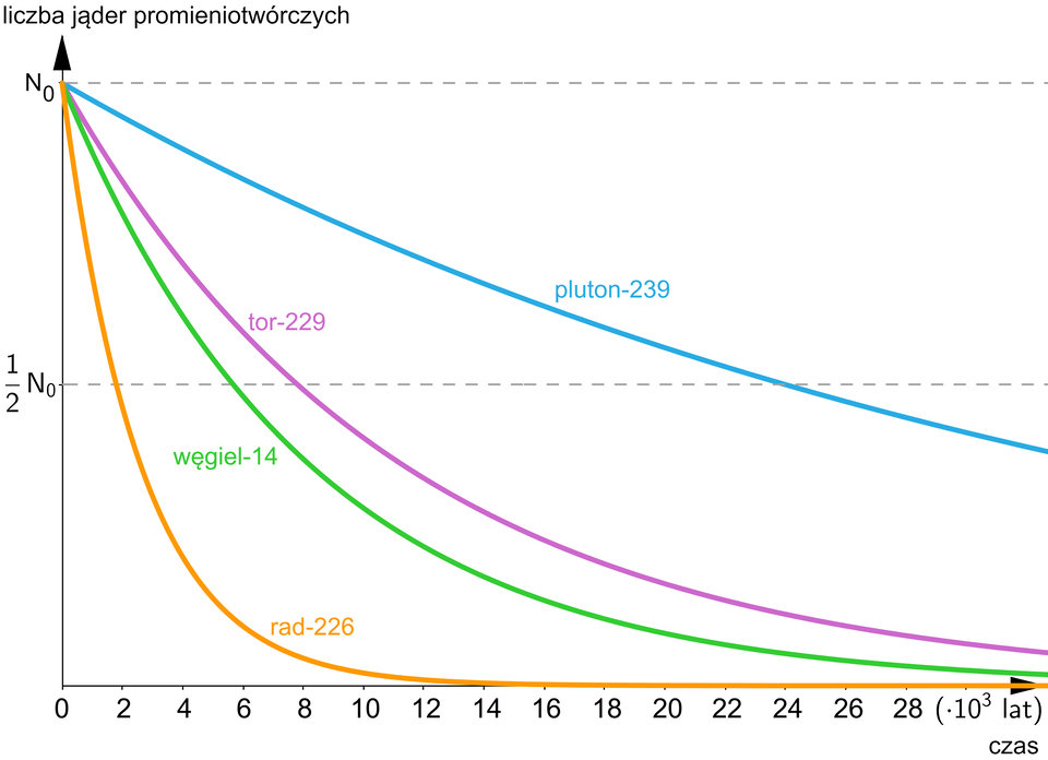 Na ilustracji przedstawiono wykres zależności rozpadu liczby jąder w próbce w zależności od czasu. Na poziomej osi uwzględniono czas w latach, z podziałką co dwa, od dwóch do dwudziestu ośmiu pomnożone przez 10 do potęgi trzeciej w latach. Na pionowej osi  uwzględniono liczbę jąder początek ułamka, jeden, mianownik, dwa, koniec ułamka, N indeks dolny, zero, koniec indeksu dolnego oraz N indeks dolny, zero, koniec indeksu dolnego. Z wykresu odczytano. Czas połowicznego rozpadu początek ułamka, jeden, mianownik, dwa, koniec ułamka, N indeks dolny, zero, koniec indeksu dolnego radu 226 wynosi około dwóch tysięcy lat. Czas połowicznego rozpadu węgla 14 wynosi około sześciu lat. Czas połowicznego rozpadu toru 229 wynosi około ośmiu tysięcy lat. Czas połowicznego rozpadu plutonu 239 to około dwadzieścia cztery tysiące lat.