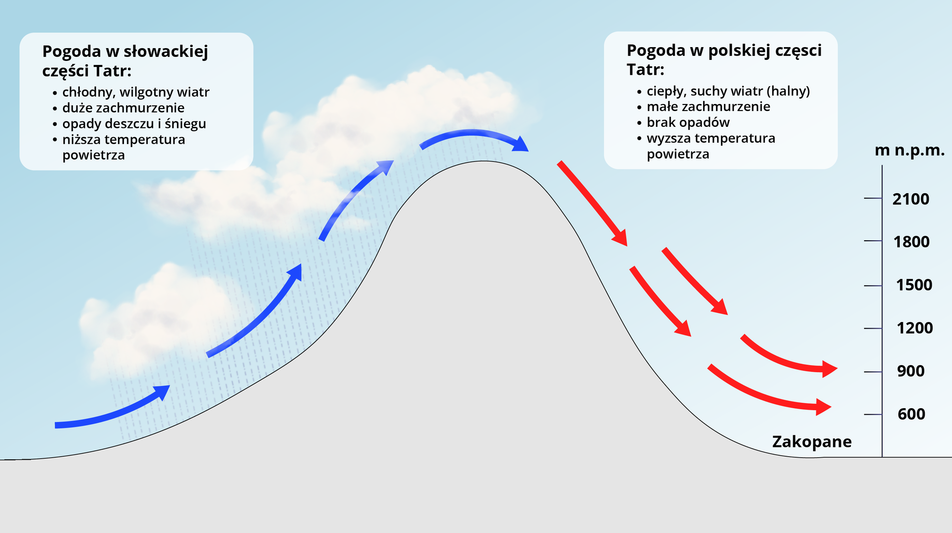 Ilustracja w symboliczny sposób przedstawiająca wzniesienie symbolizujące Tatry na granicy Polski i Słowacji. Po lewej, słowackiej stronie, za pomocą niebieskich strzałek przedstawiono wznoszące się ku górze po stoku powietrze. Nad strzałkami chmury, z których następują opady. W lewym górnym rogu pole tekstowe o treści: „Pogoda w słowackiej części Tatr: chłodny, wilgotny wiatr; duże zachmurzenie; opady deszczu i śniegu; niższa temperatura powietrza”. Po polskiej części stoku umieszczono czerwone strzałki kierujące się w dół. U podnóża stoku napis „Zakopane”. W prawym górnym rogu pole tekstowe o treści: „Pogoda w polskiej części Tatr: ciepły, suchy wiatr (halny); małe zachmurzenie; brak opadów; wyższa temperatura powietrza”. Po prawej stronie ilustracji pionowa podziałka z wyznaczonymi wysokościami nad poziomem co trzysta metrów. U podnóża wysokość wynosi około sześćset, a na szczycie ponad dwa tysiące sto metrów.