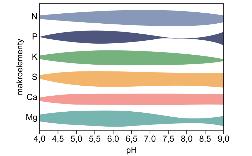 Wykres przedstawia kolorowe obszary rozciągnięte poziomo, jeden nad drugim w obszarze prostokątnym. Na lewym boku zaznaczono sześć mikroelementów, ułożonych od dołu w górę: Mg, Ca, S, K, P, N. Dolny bok opisany jest wartościami pH gleby, od lewej strony w prawo zapisano:  4,0; 4,5; 5,0; 5,5; 6,0; 6,5; 7,0; 7,5; 8,0; 8,5; 9,0. Im szerszy jest kolorowy obszar przypisany do danego mikroelementu, tym lepsza jest dostępność minerałów. Mg - największa dostępność przy pH gleby 5,0 do 6,5. Ca - stała dostępność przy pH gleby 4,5. S - największa przy pH gleby 5,0. K - największa między 5.0 a 7,5. P - 5,0 do 6,5. N - największa dostępność przy pH gleby 7,0 do 8,5.