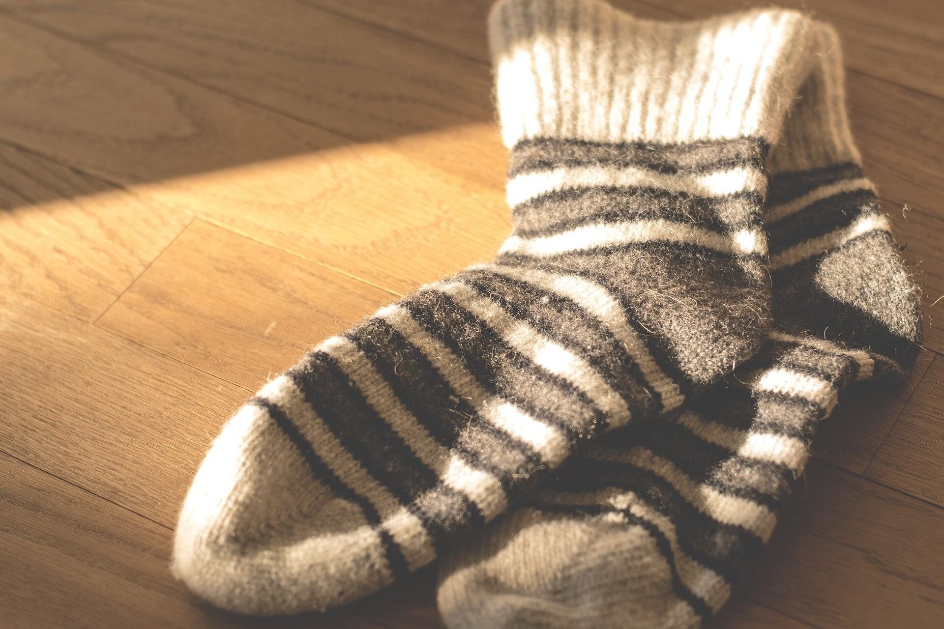 Ilustracja przedstawia skarpety wykonane z owczej wełny.