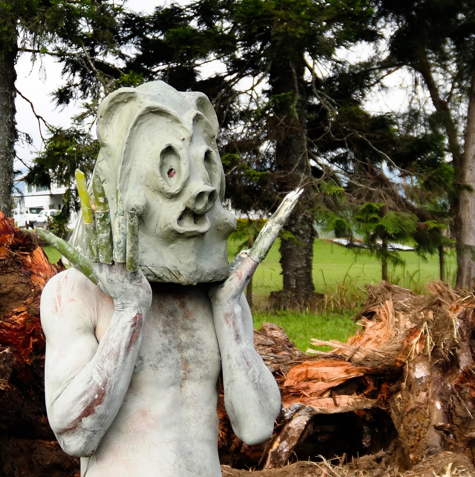 Fotografia przedstawia człowieka plemienia Asaro Mudman na festiwalu Mount Hagen w Pap. Zdjęcie zostało wykonane wśród drzew, z których jedno jest powalone. Mężczyzna ma pomalowaną za pomocą białej farby skórę  – kolor skóry przebija się na torsie oraz na rękach. Na palcach ma założone drewniane ostro zakończone pazury, które miały za zadanie odstraszać przeciwników. Na głowie mężczyzny znajduje się gliniana maska, która przypomina pysk niedźwiedzia.  