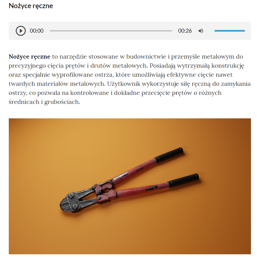 Zdjęcie przedstawia przykładowy wygląd wyświetlenia opisu i nagrania audio. W jego górnej części widoczny jest tytuł. Poniżej znajduje się odtwarzacz audio i tekst. Audio jest tożsame z tekstem.