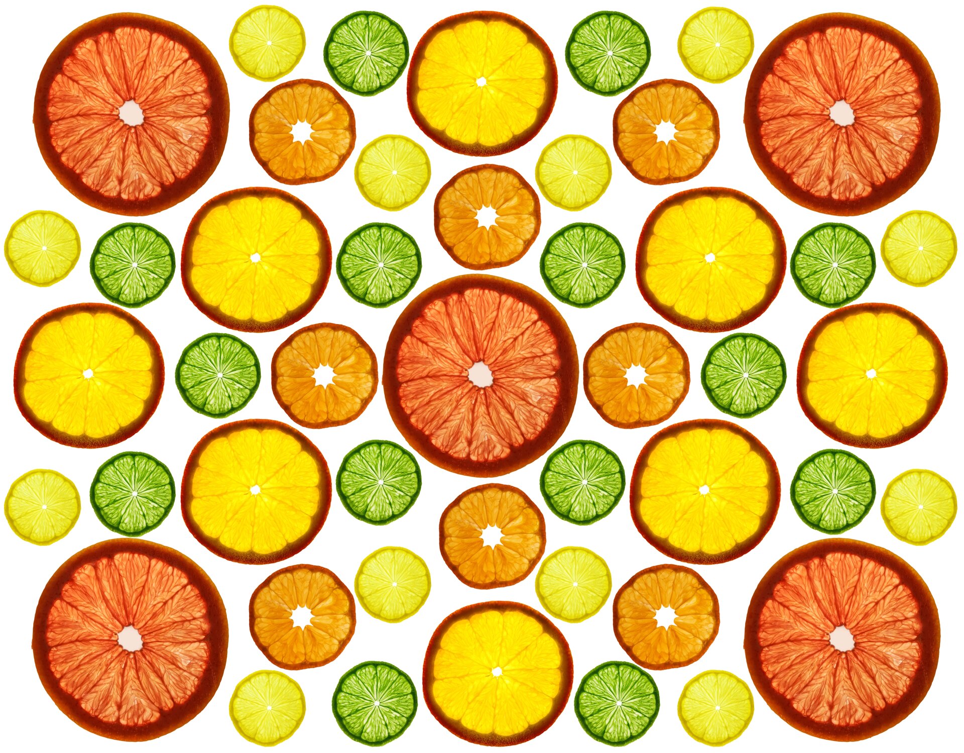 Abstrakcyjna kompozycja pod tytułem "Kompozycja cytrusowa" przedstawia owoce grejpfruta, cytryny, pomarańczy i limetki rozłożone równomiernie na białym tle. Owoce są przezroczyste, składają się z wielu linii, które rozdzielają owoce na poszczególne cząstki.