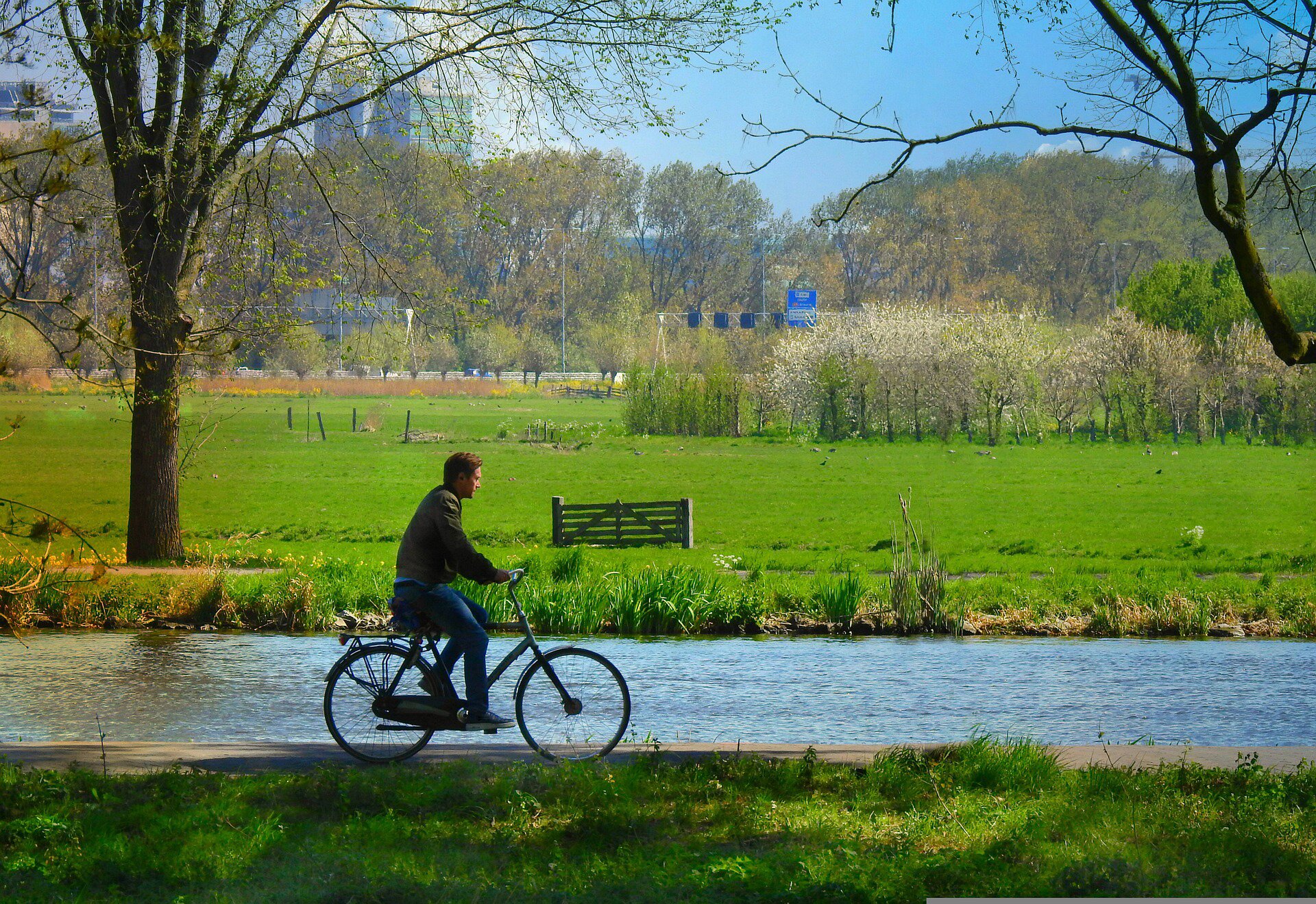 Ilustracja przedstawia mężczyznę jadącego na rowerze.
