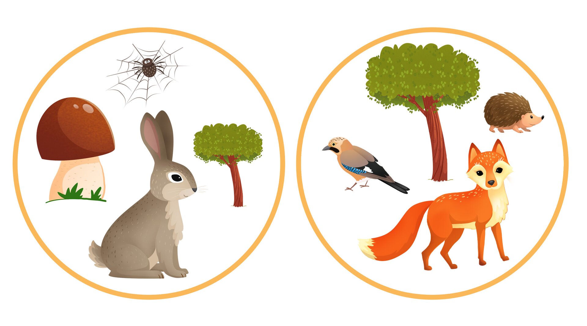 Na ilustracji po lewej widoczne są: pająk, grzyb, drzewo, zając. Na ilustracji po prawej widoczne są: drzewo, jeż, ptak i lis.