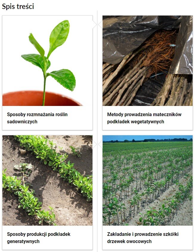 Grafika przedstawia fragment spisu treści. Widoczne są cztery kafelki z tytułami i zdjęciami. Pierwszy kafelek. Sposoby rozmnażania roślin sadowniczych. Zdjęcie przedstawia małą sadzonkę. Drugi kafelek. Sposoby produkcji podkładek generatywnych. Zdjęcie grządki z roślinami. Trzeci kafelek. Metody prowadzenia mateczników podkładek wegetatywnych. Zdjęcie przedstawia gałęzie z korzeniami. Kafelek czwarty. Zakładanie i prowadzenie szkółki drzewek owocowych. Zdjęcie przedstawia pole z roślinami.