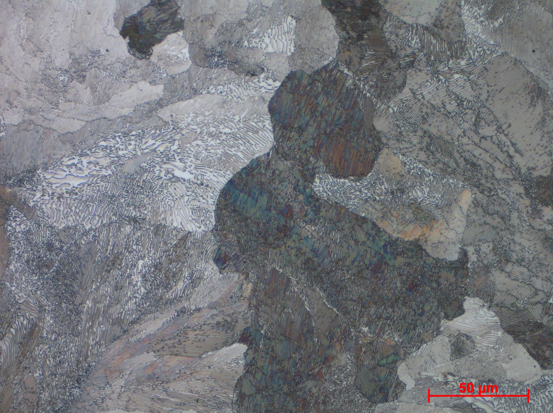 Stop o zawartości węgla 0,77%
 Struktura perlityczna - powiększenie 50x